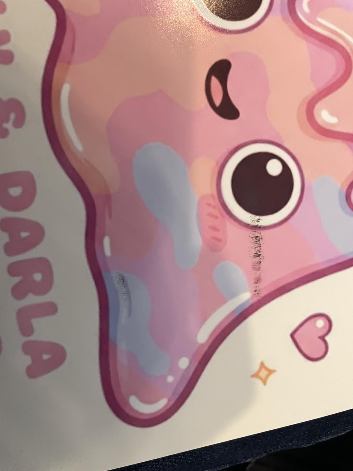 Canon imagePROGRAF PRO-1100: 17 Professional Wireless Inkjet Photo Printer customer photo 2