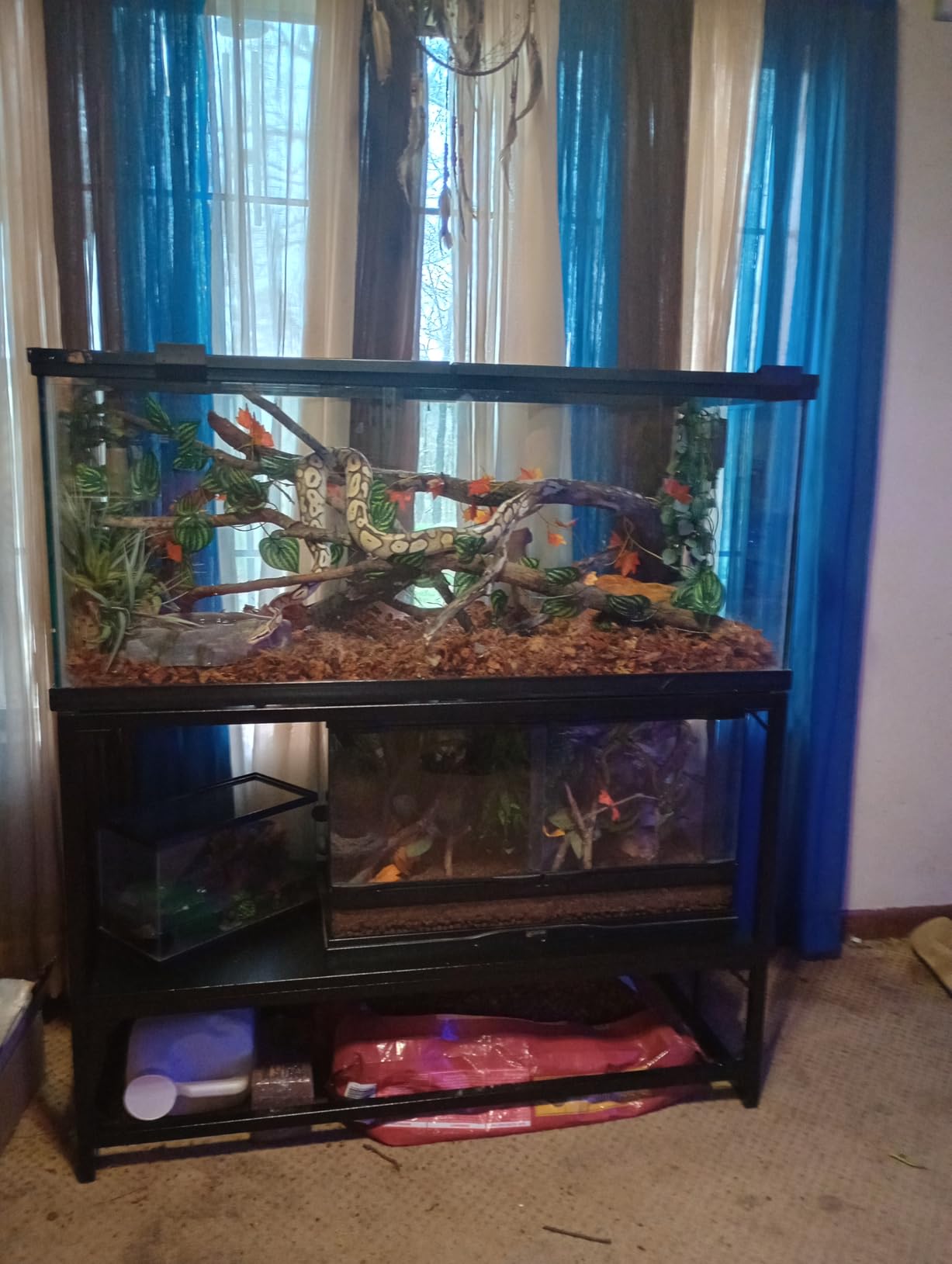 Fish Tank Stand, 40 Gallon Heavy Duty Metal Aquarium Stands, Reptile Tank, Turtle Tank, Breeder Tank Stand, 660LBS Capacity Terrarium Stand Rack with 2-Tier Storage Shelves customer photo 1
