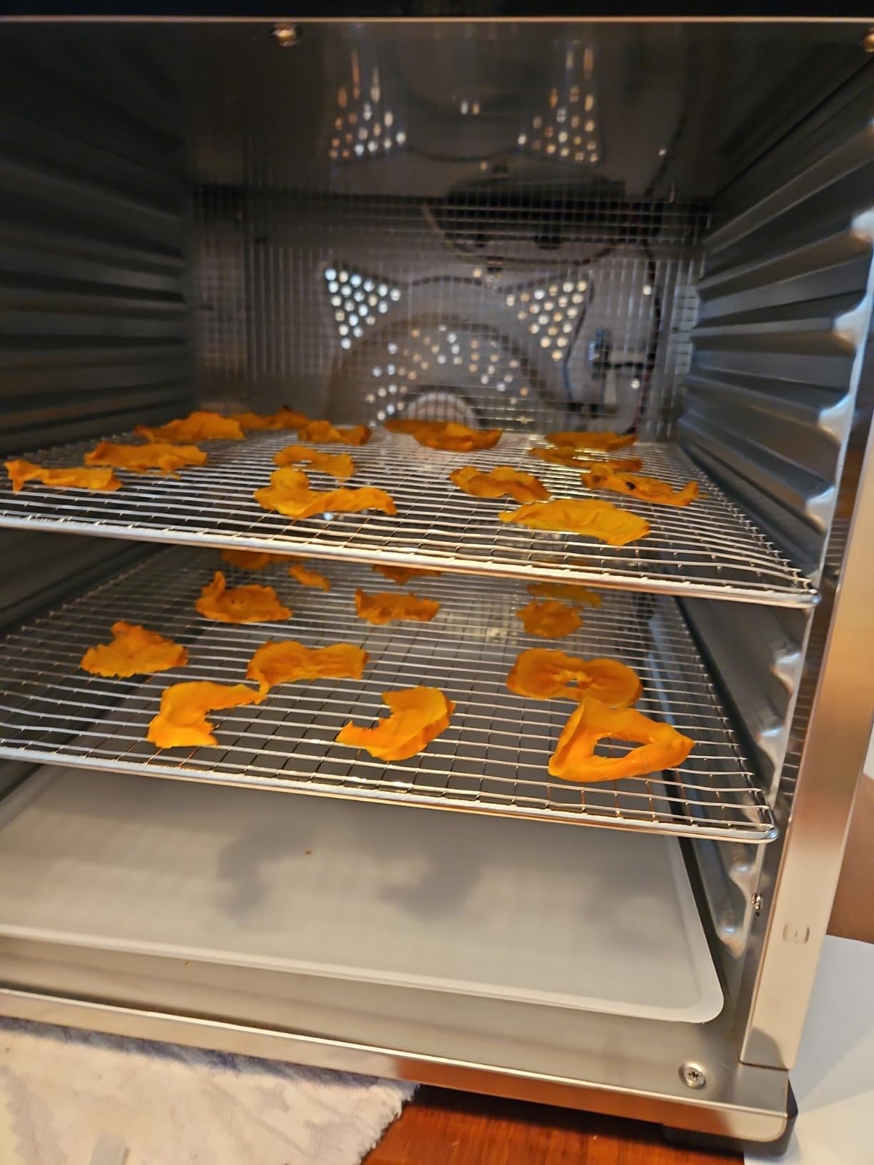 LEM Products BigBite 16-Tray Stainless Steel Dehydrator, Food Dehydrator for Beef Jerky, Meat, Vegetables, and Fruits, Includes Dryer Machine and 16 Trays, Silver customer photo 1