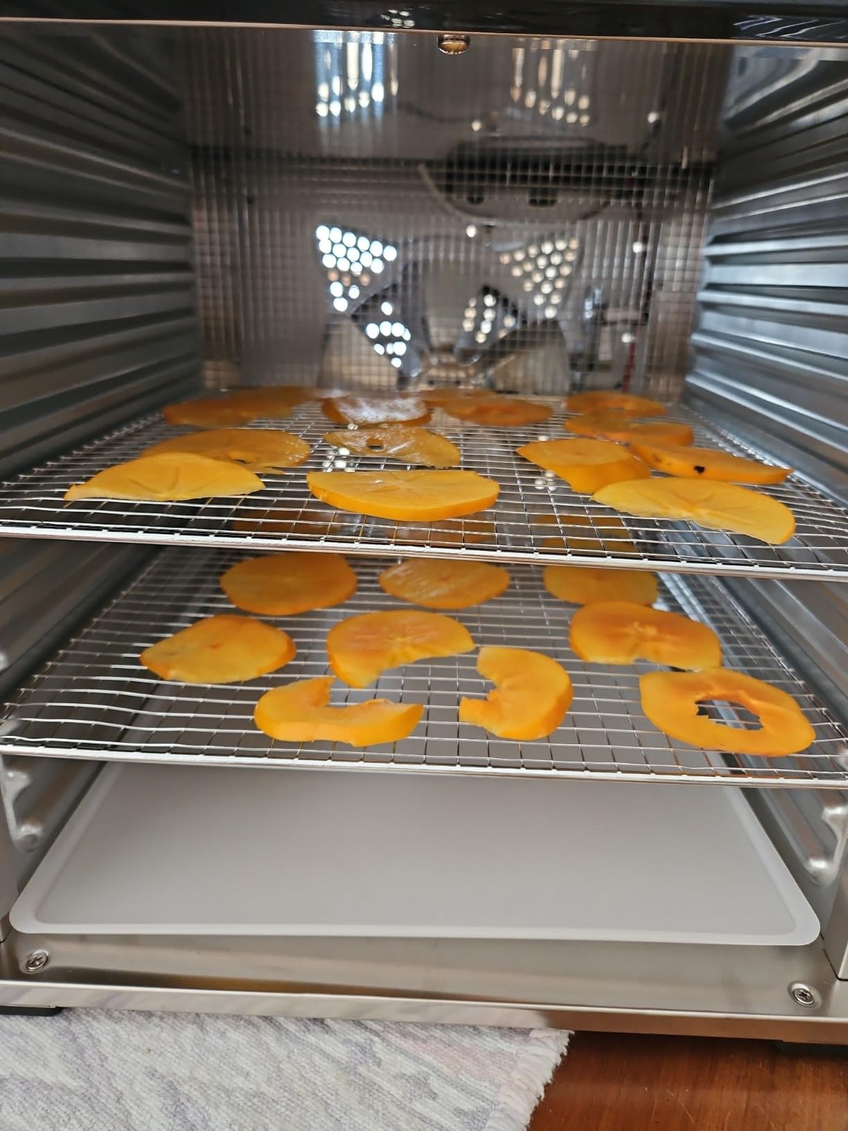 LEM Products BigBite 16-Tray Stainless Steel Dehydrator, Food Dehydrator for Beef Jerky, Meat, Vegetables, and Fruits, Includes Dryer Machine and 16 Trays, Silver customer photo 2