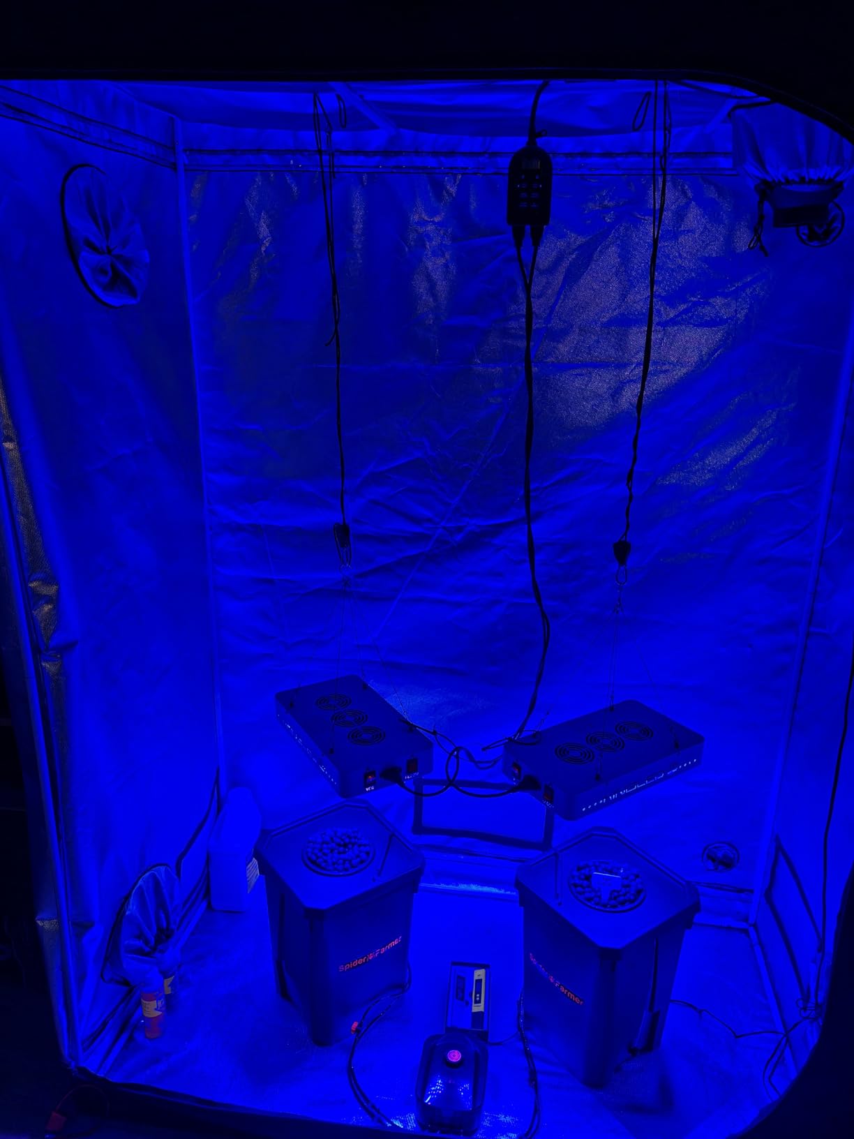 Spider Farmer DWC Hydroponics Grow System with 7-Gallon Deep Water Culture, New Triangular Cover Design, Recirculating Drip Garden System with Top Drip Kit, 11W Air Pump, 4 Buckets customer photo 2