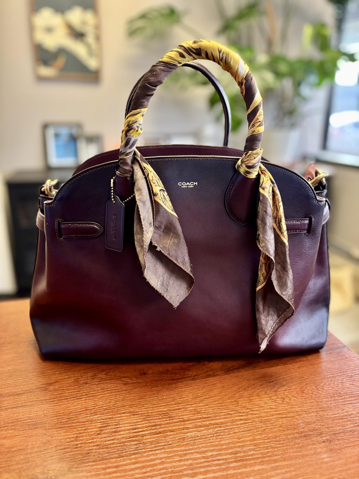 COACH Women's Suede Soft Empire Carryall 40 Tote customer photo 2