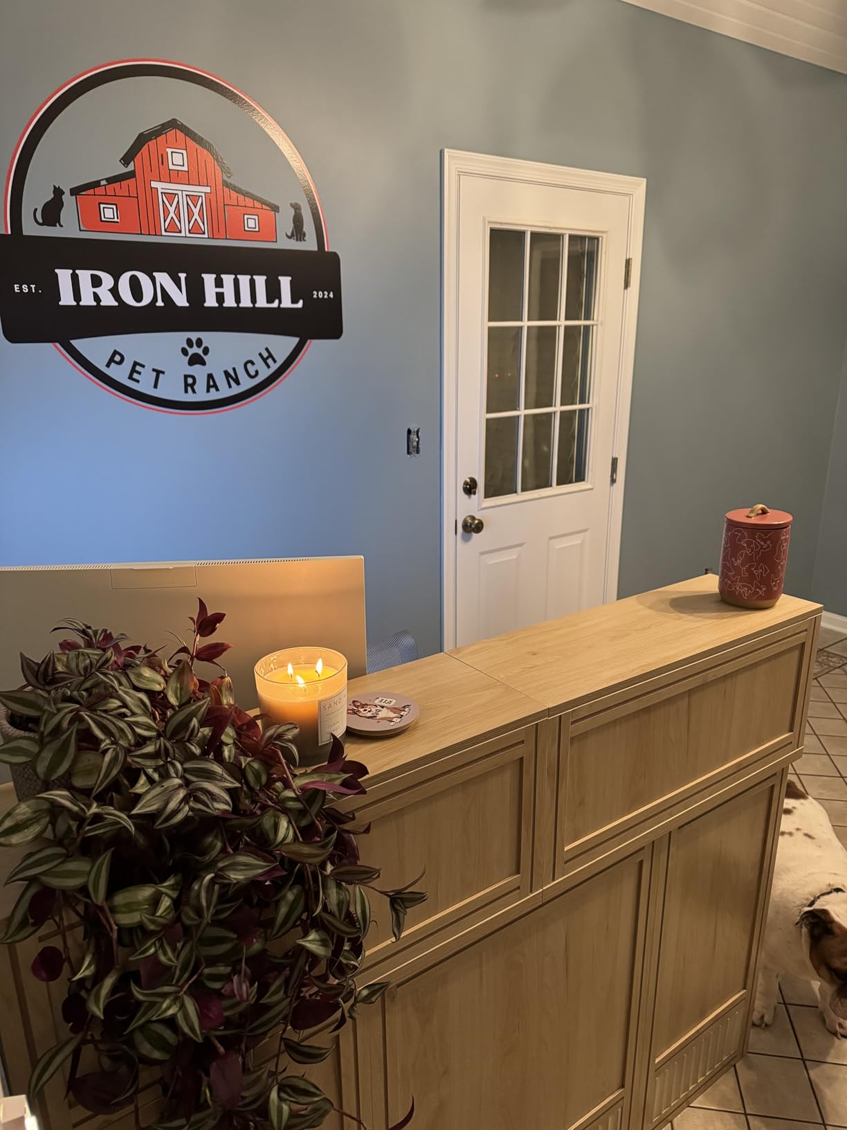 LITTLE TREE 57-Inch Reception Counter, Boho Style Front Desk, Modern Checkout Counter, Reception Desk for Retail, Lobby, Salon, Office, Oak customer photo 1