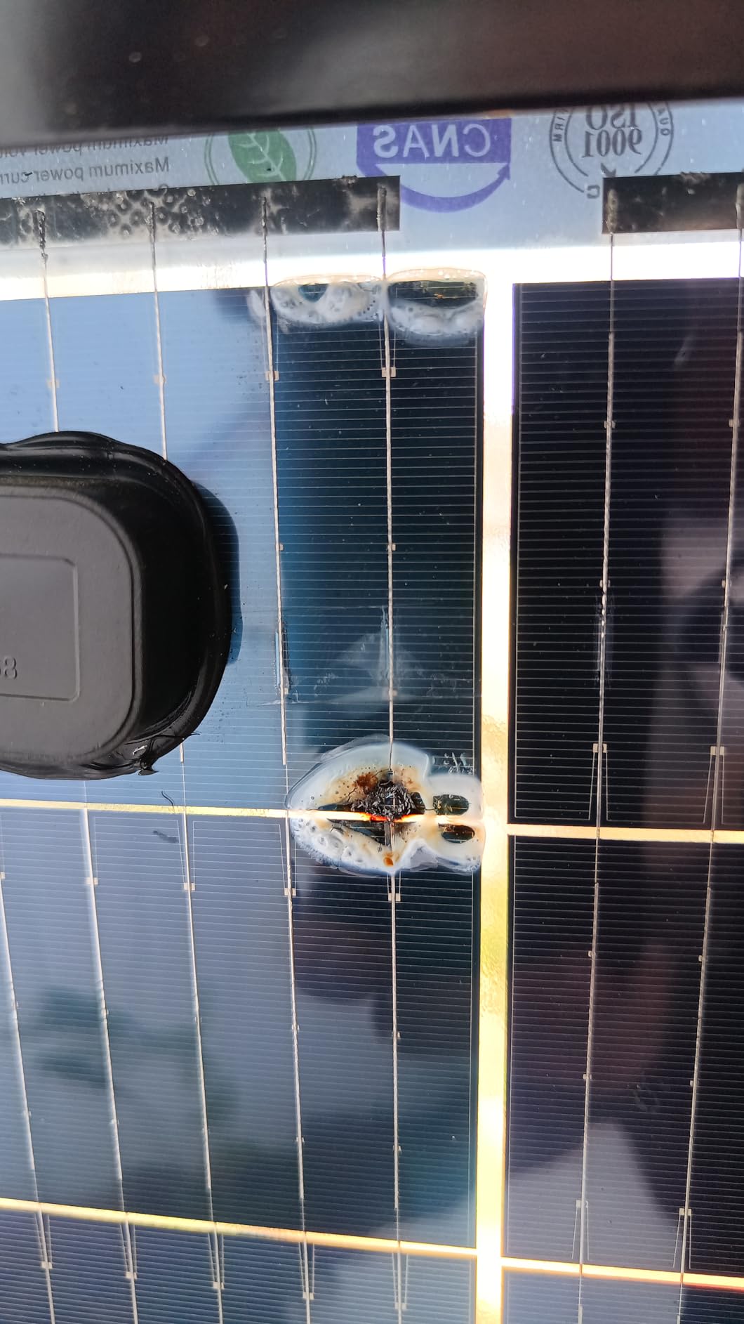 1200 Watt Solar Panels Bifacial 200 Watt Solar Panel 6 Pack 18BB Monocrystalline A+ Cell High-Efficiency Module PV Power Charger Homes Camping RV Battery Boat Caravan Other Off-Grid Applications customer photo 1