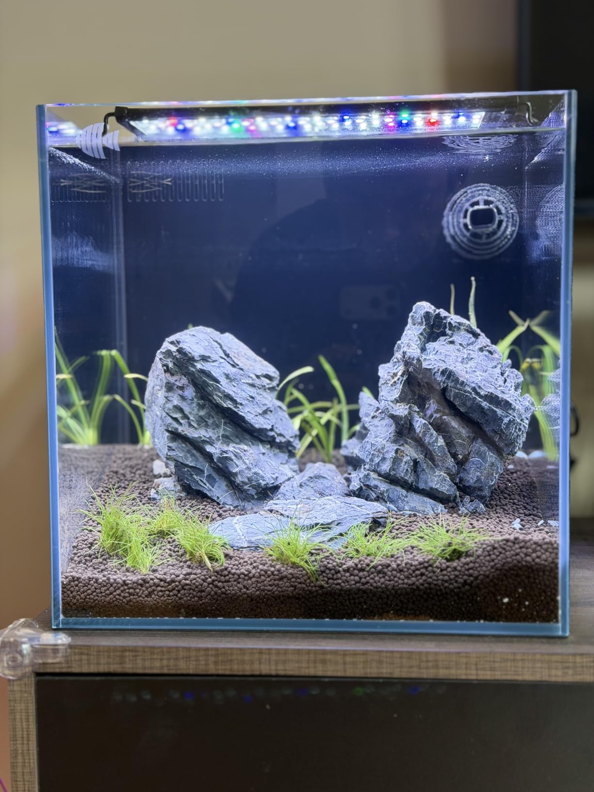 Coralland 8-Gallon Saltwater Aquarium - Ultra Clear Low Iron Glass, 45 Angled Joint Design, Crystal Clear Viewing, Perfect for Marine Fish & Reef Tanks & Freshwater customer photo 2