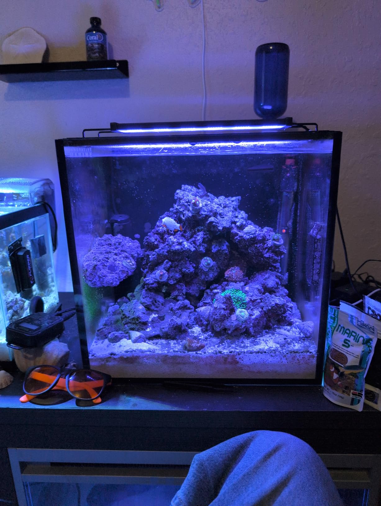 hygger LED Saltwater Aquarium Light, 24/7 Mode Nano Tank Reef Light for Coral, Refugium Light with White, Blue, U-V LEDs Dimmer Timer Moonlight Mounting Bracket 2 Metal Legs 11'' Long 19W customer photo 2