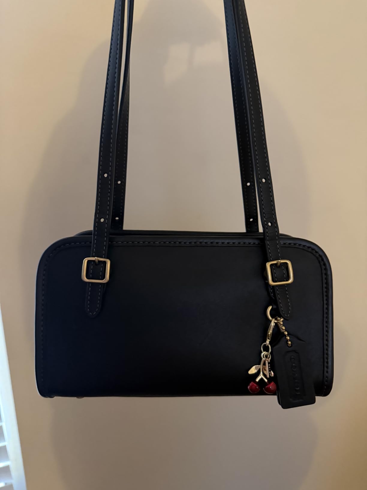 Coach Swing Zip 20 customer photo 2