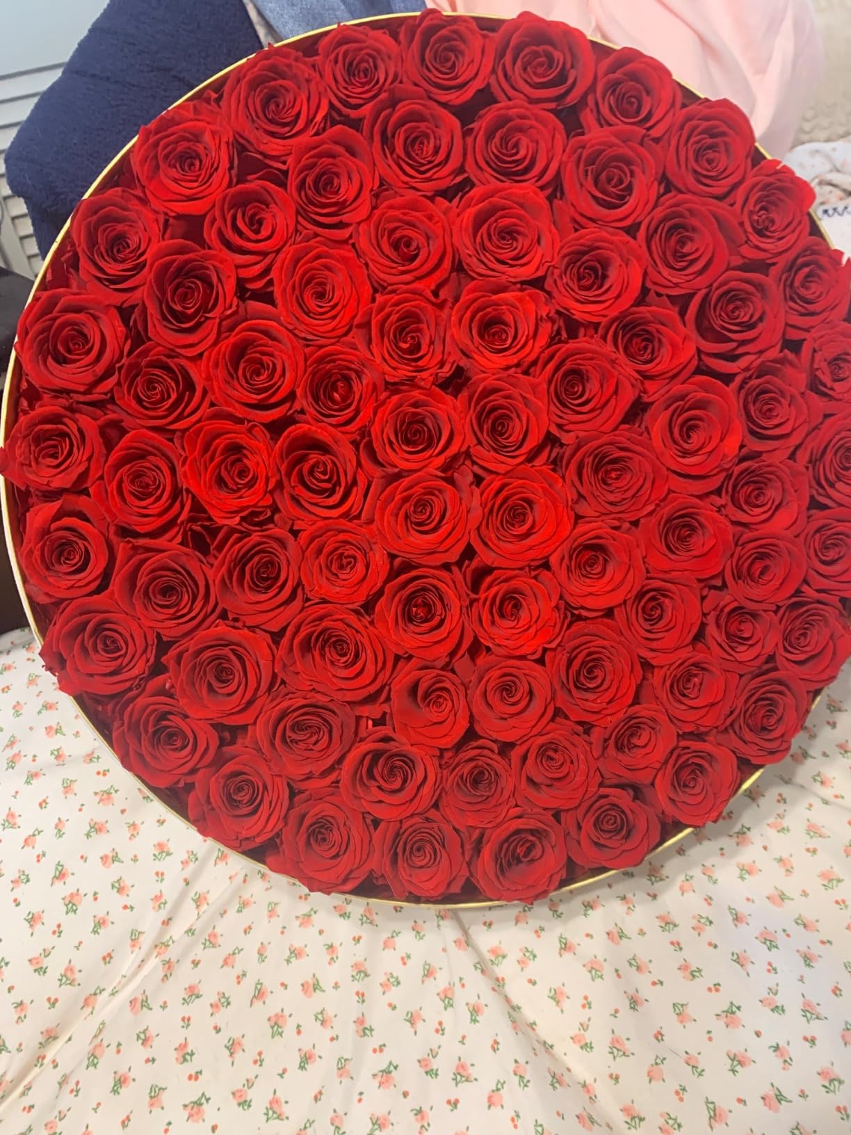 77 Preserved Roses in a Box, Forever Flowers Roses that Last Over a Year Preserved Flowers Birthday Gifts for Her Mom Women Wife Anniversary Valentines Day Mothers Day Christmas, Red customer photo 1