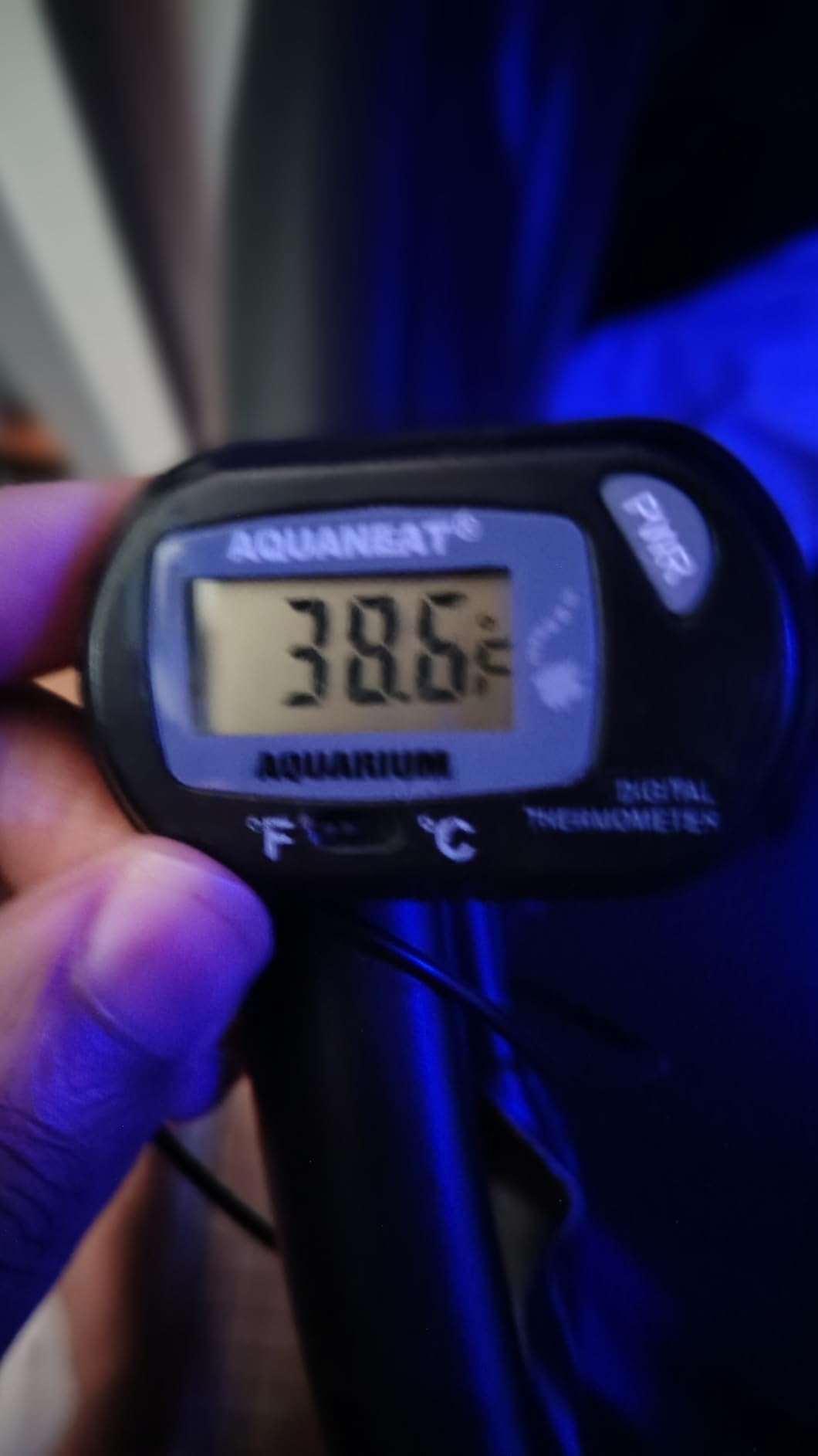 Aquarium Chiller 42 Gal, 1/10 HP Water Chiller Machine, Hydroponic Cooling System, Fish Tank Chiller with Upgraded LED display, for Axolotl Jellyfish customer photo 2