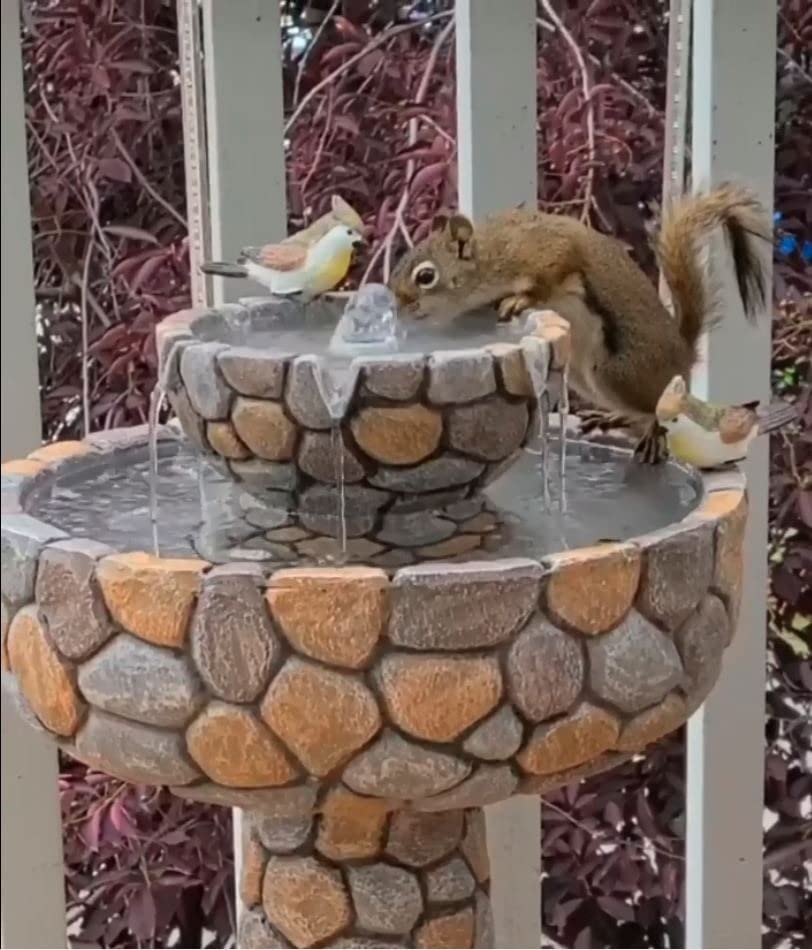 Glitzhome 5-Tier Cascading Rock Outdoor Water Fountain with LED Light & Pump, Natural Stacked Stone Look Water Fountain with Lively Birds for Garden, Patio, Porch, 23