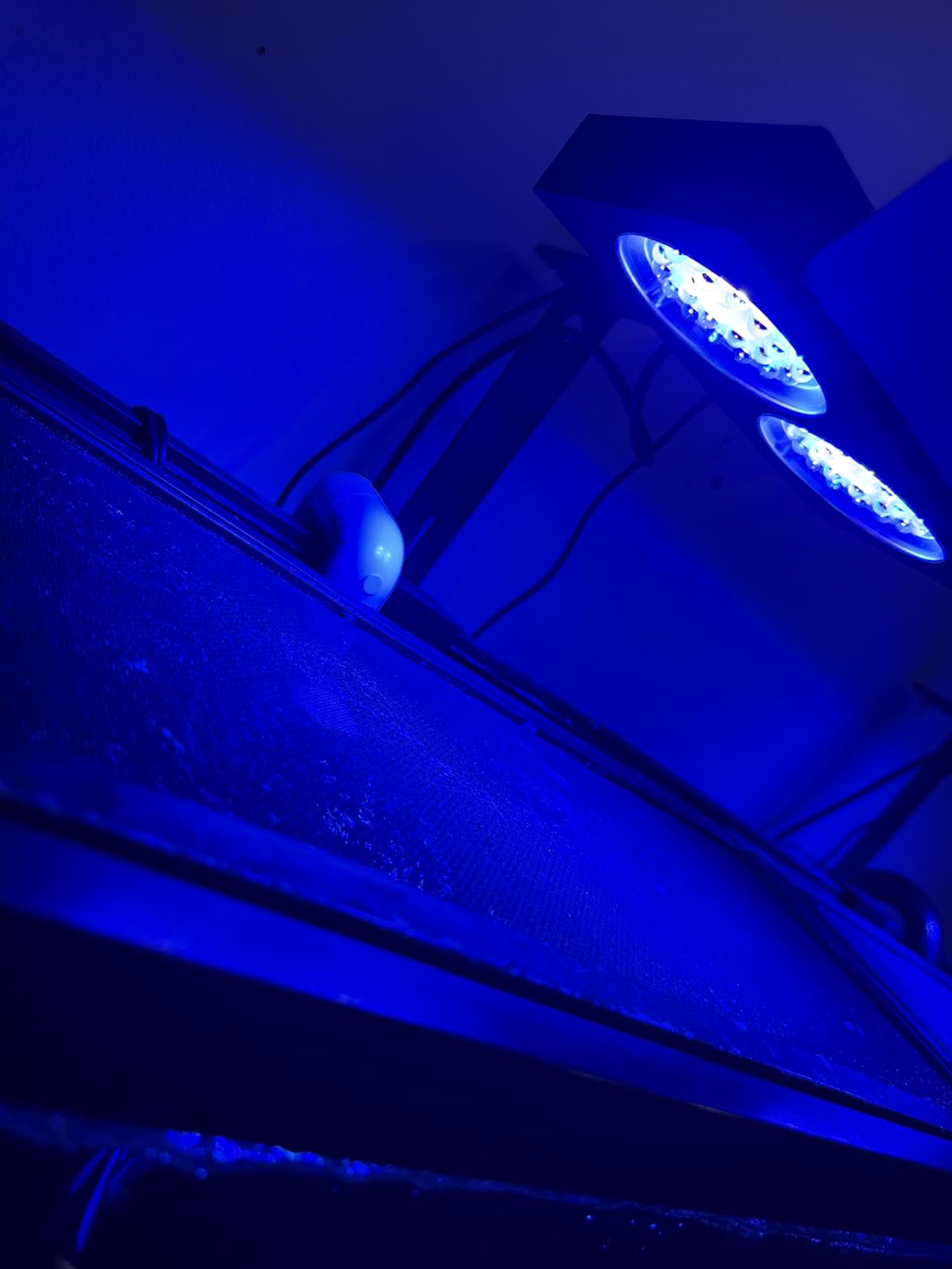 NICREW NavaReef 135 Reef LED Light, 135W Reef Aquarium Lighting for LPS/SPS Corals and Saltwater Fish Tanks, Built-in Timer, Blue Focused Spectrum customer photo 2