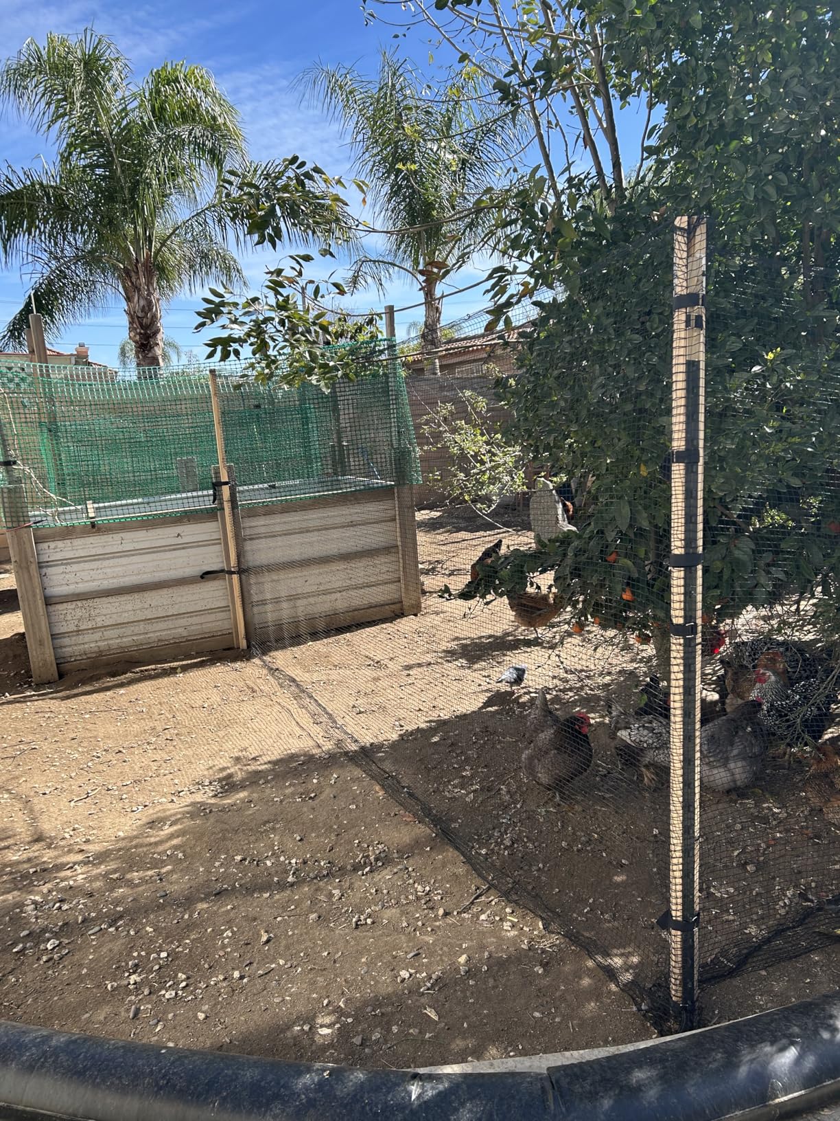 Deer Fence Netting,Plastic Mesh Fence 6.5x50ft,Reinforced Edges 55gsm Heavy Duty Animal Barrier,Ideal for Garden Netting,Against Bird,Temporary Fence,Fruit Plant Protection,Black customer photo 2