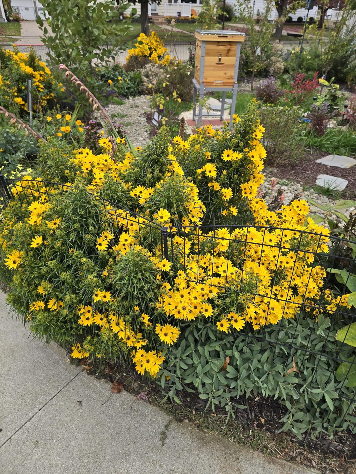 Bee Hive Boxes Starter Kit with Metal Stand, 100% Beeswax Coated Bee Hive with 10 Medium and 20 Deep Frames & Foundations (3 Layer) customer photo 2