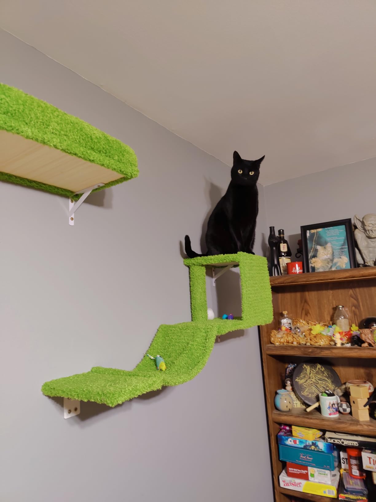 FUKUMARU Cat Wall Shelves, Stable & Safe 4 in 1 Cat Walls Furniture Set, Wooden Kitten Climbing Wall with Scratching Post for 16 Inch Drywall - Beige customer photo 1