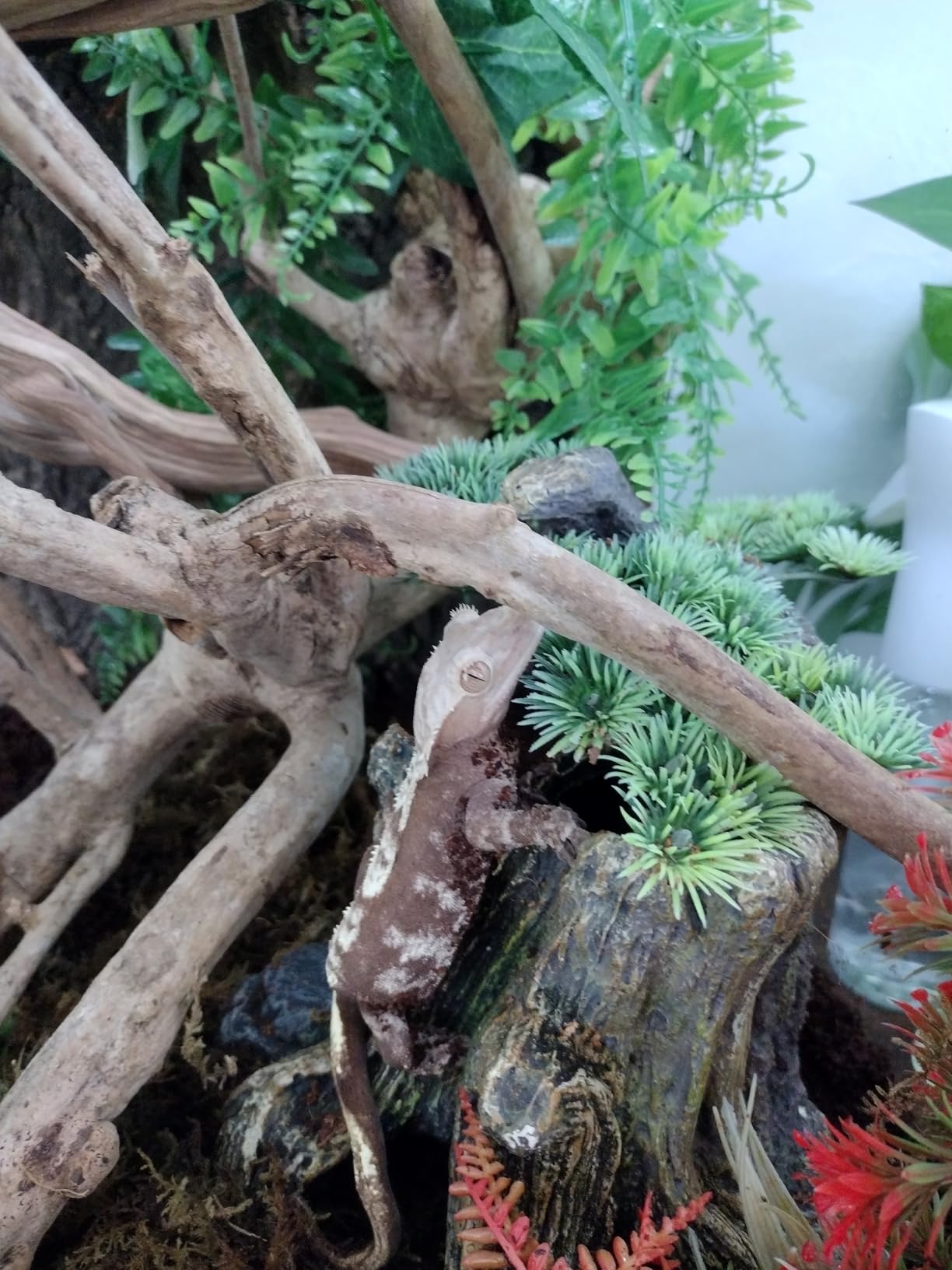 Reinforced 40-50 Gallon Aquarium Stand with Power Outlet, Ultra-Stable 720LBS Capacity Metal Fish Tank Stand for Reptile/Aquatic Setups, 5-Tier Adjustable Steel Shelving System customer photo 1