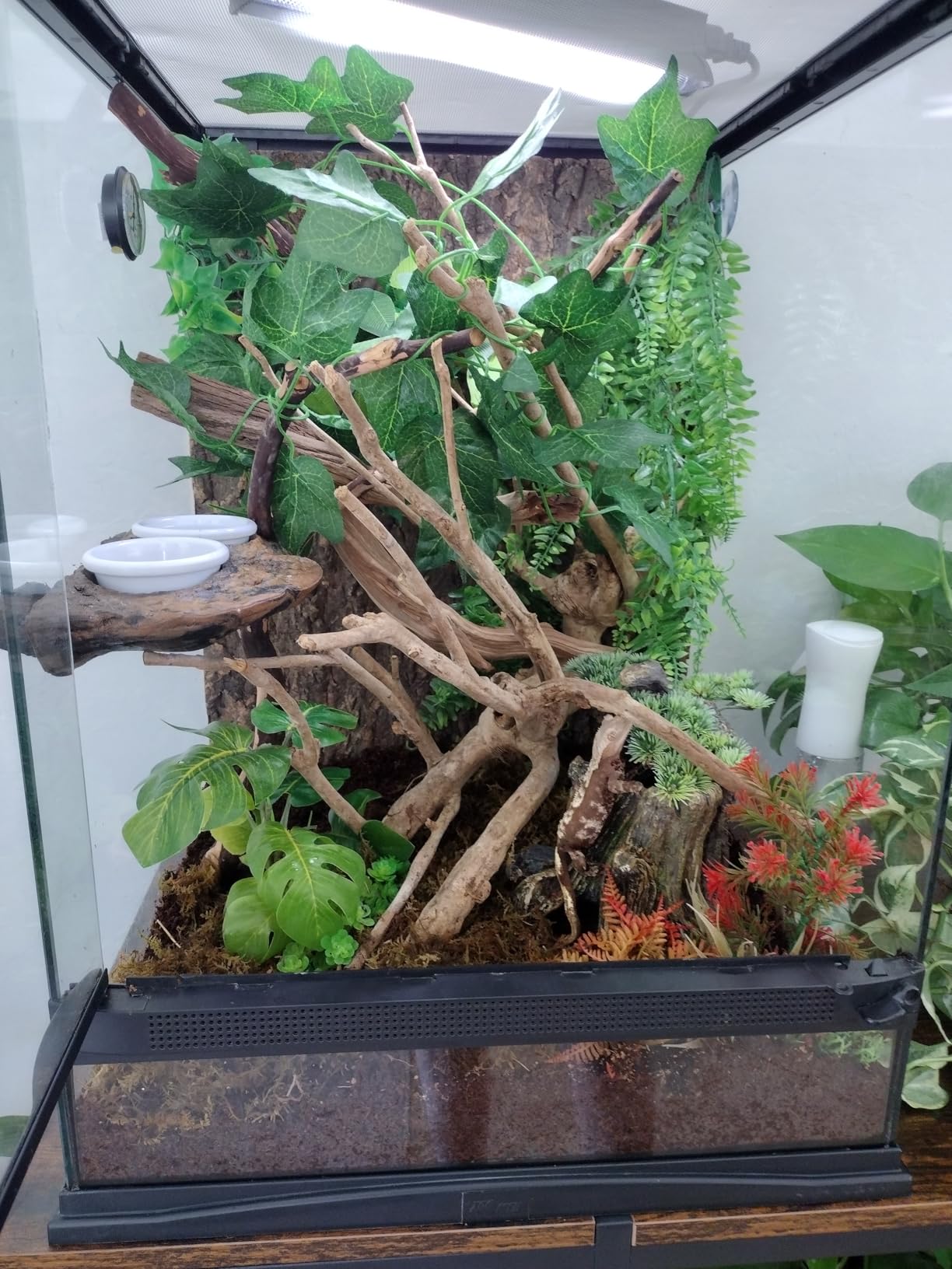 Reinforced 40-50 Gallon Aquarium Stand with Power Outlet, Ultra-Stable 720LBS Capacity Metal Fish Tank Stand for Reptile/Aquatic Setups, 5-Tier Adjustable Steel Shelving System customer photo 2