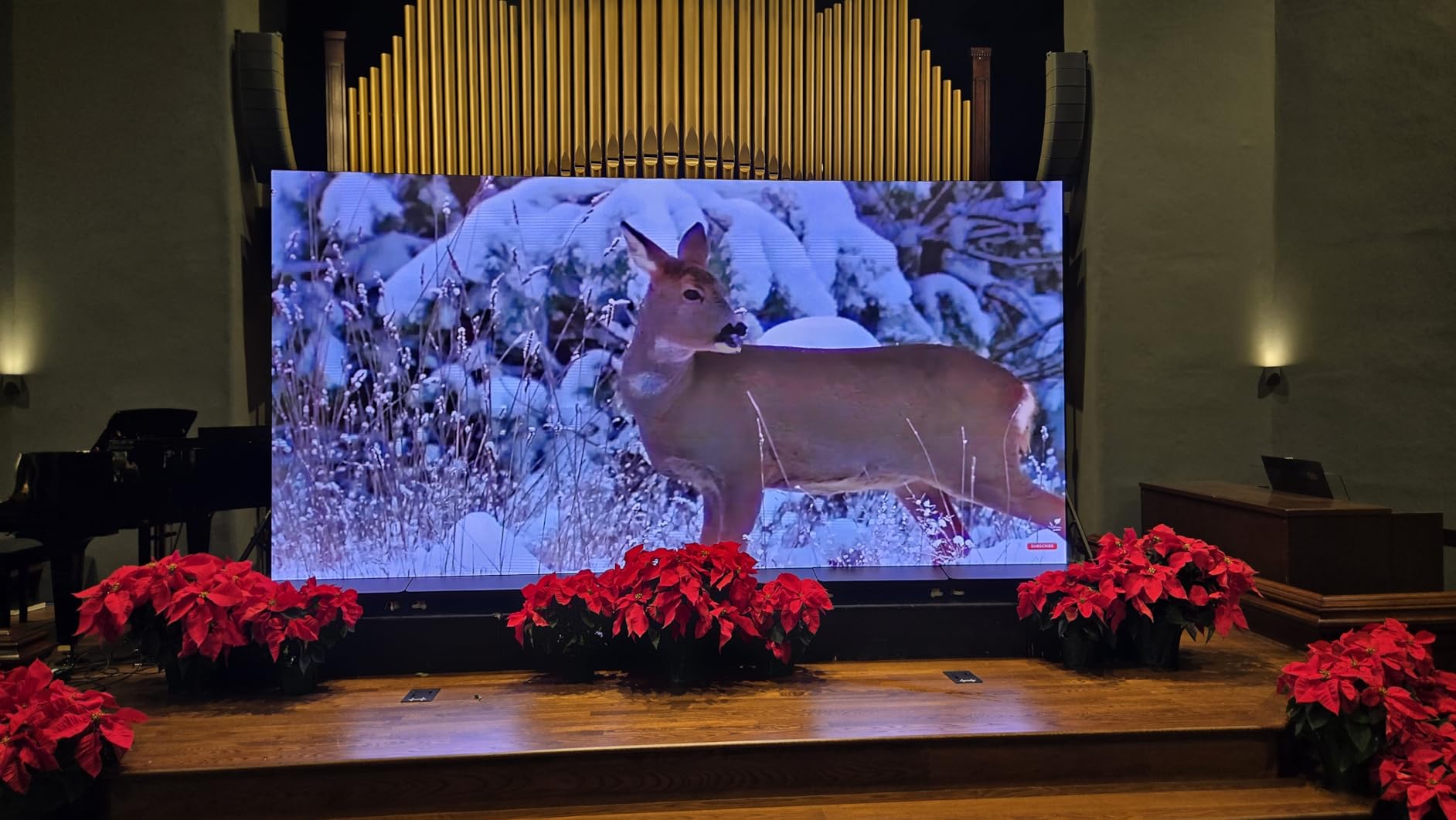 MWE LED Digital Signage Display with Flight Case, P1.86 Spliceable LED Poster Screen with Publishing System, Foldable Advertising Display Kiosk for Events and Rentals, WiFi/USB/HDMI customer photo 1