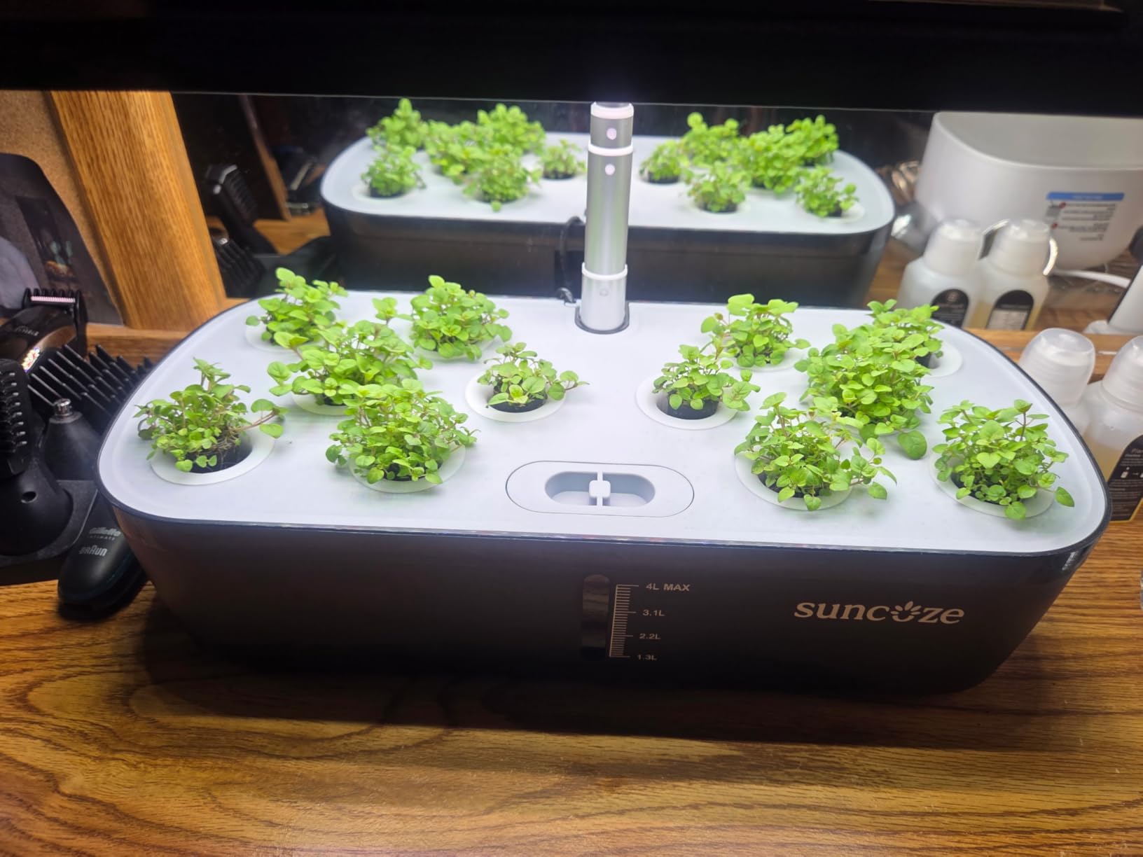 SUNCOZE Hydroponics Growing System Kit 12 Pods, Indoor herb Garden with 20W LED Grow Light, Visible Water Tank with Pump, Adjustable Height Indoor Gardening System customer photo 1