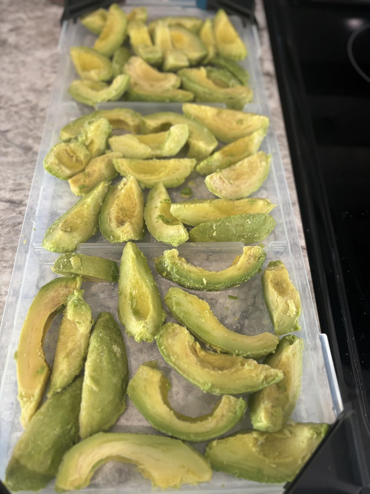 Tray Lids for Harvest Right Freeze Dryer Medium Trays. 5 Pcs pack for Harvest right freeze dryer accessories customer photo 1