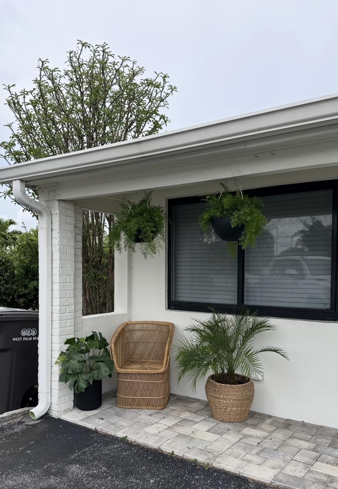 Veradek Demi Series Round Planter for Porch, Patio, Backyard | Durable Plastic-Stone Composite Material | Modern Décor for Tall Plants, Flowers customer photo 2