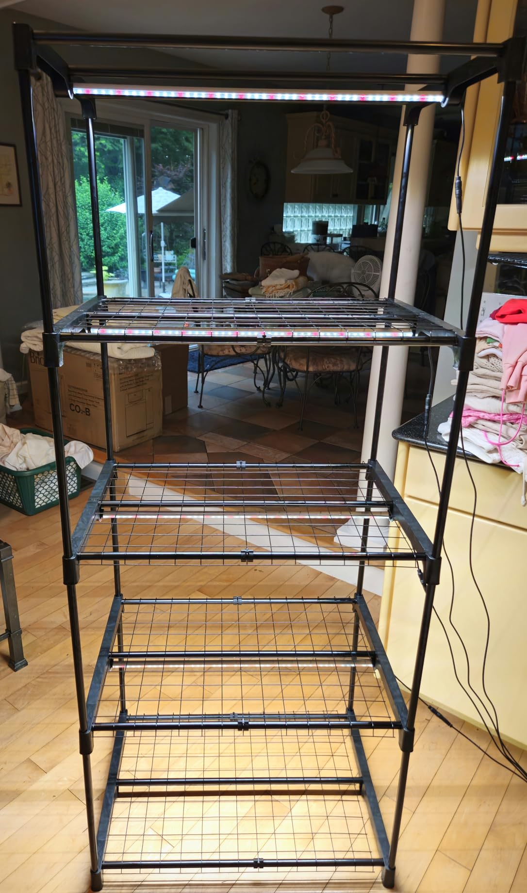 Mushroom Grow Tent with Light and Timer, 65