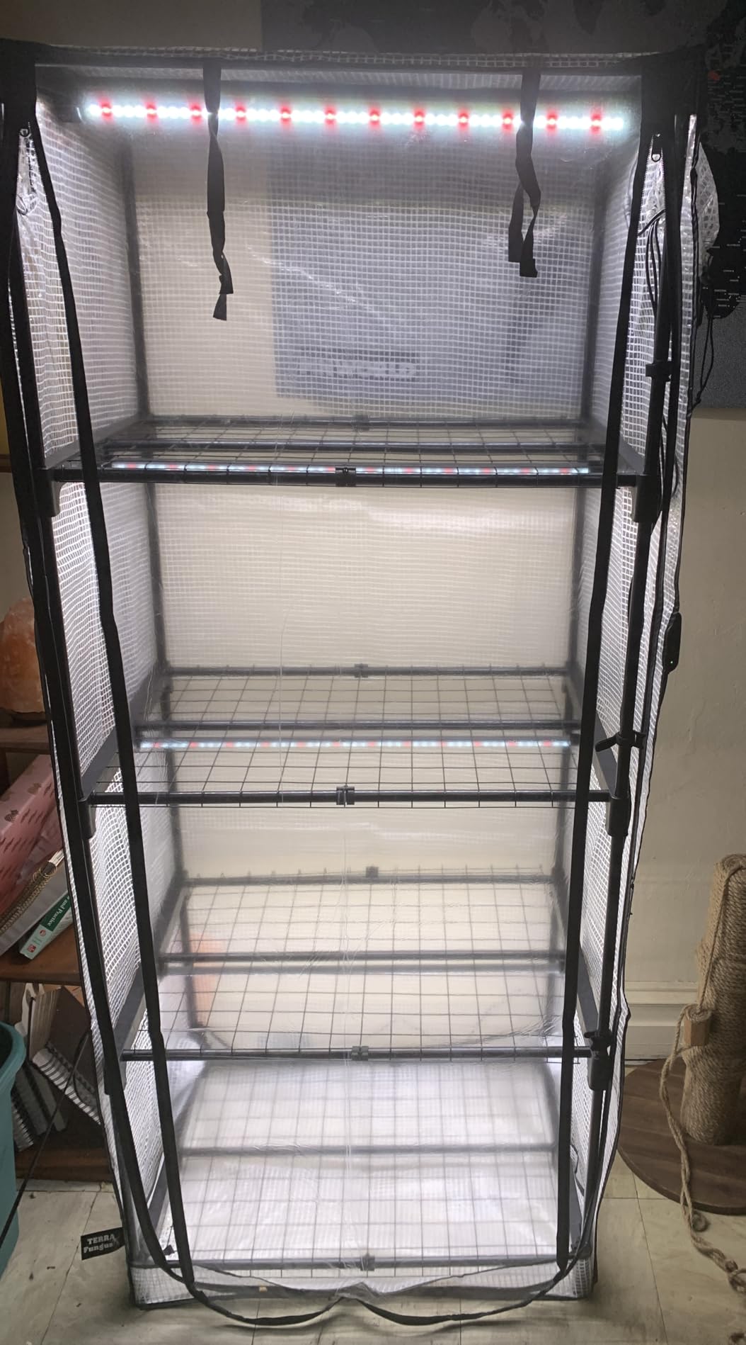 Mushroom Grow Tent with Light and Timer, 65