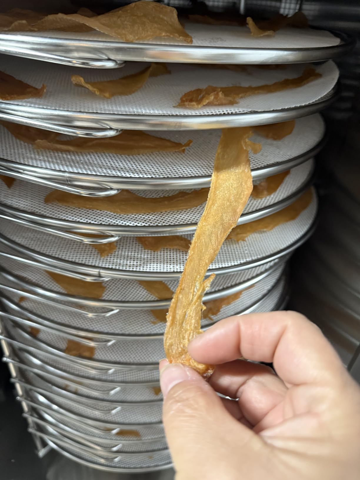 Rotary Food Dehydrator 16 Trays, Commercial Large Rotating Food Dryer Machine for Jerky, Herbs, Mushrooms, Fruit, Dog Treats, 1500W Full Stainless Steel Industrial Dehydrater (Gunmetal Gray) customer photo 2