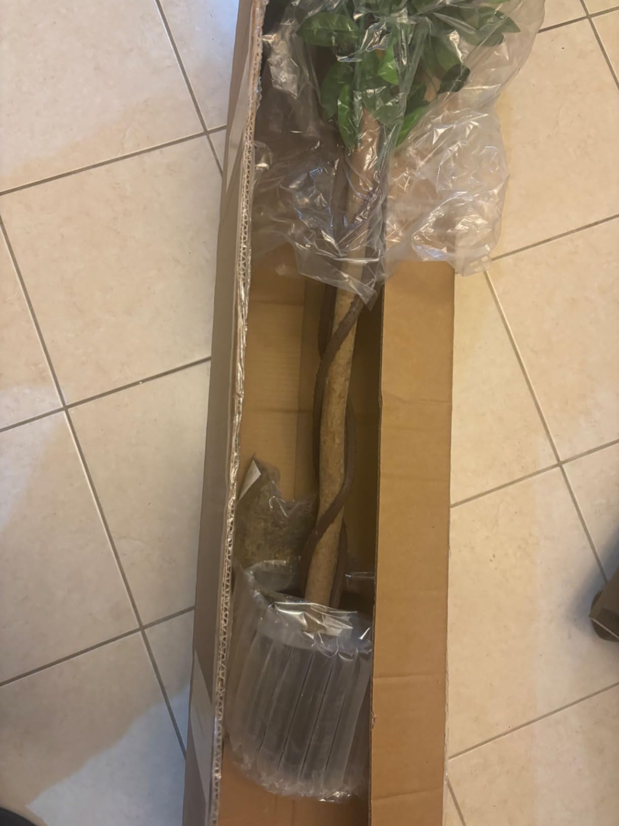 HAPPYGRILL 6FT Artificial Wisteria Tree, Fake Greenery Plants with Nursery Pot (2 Pack) customer photo 1