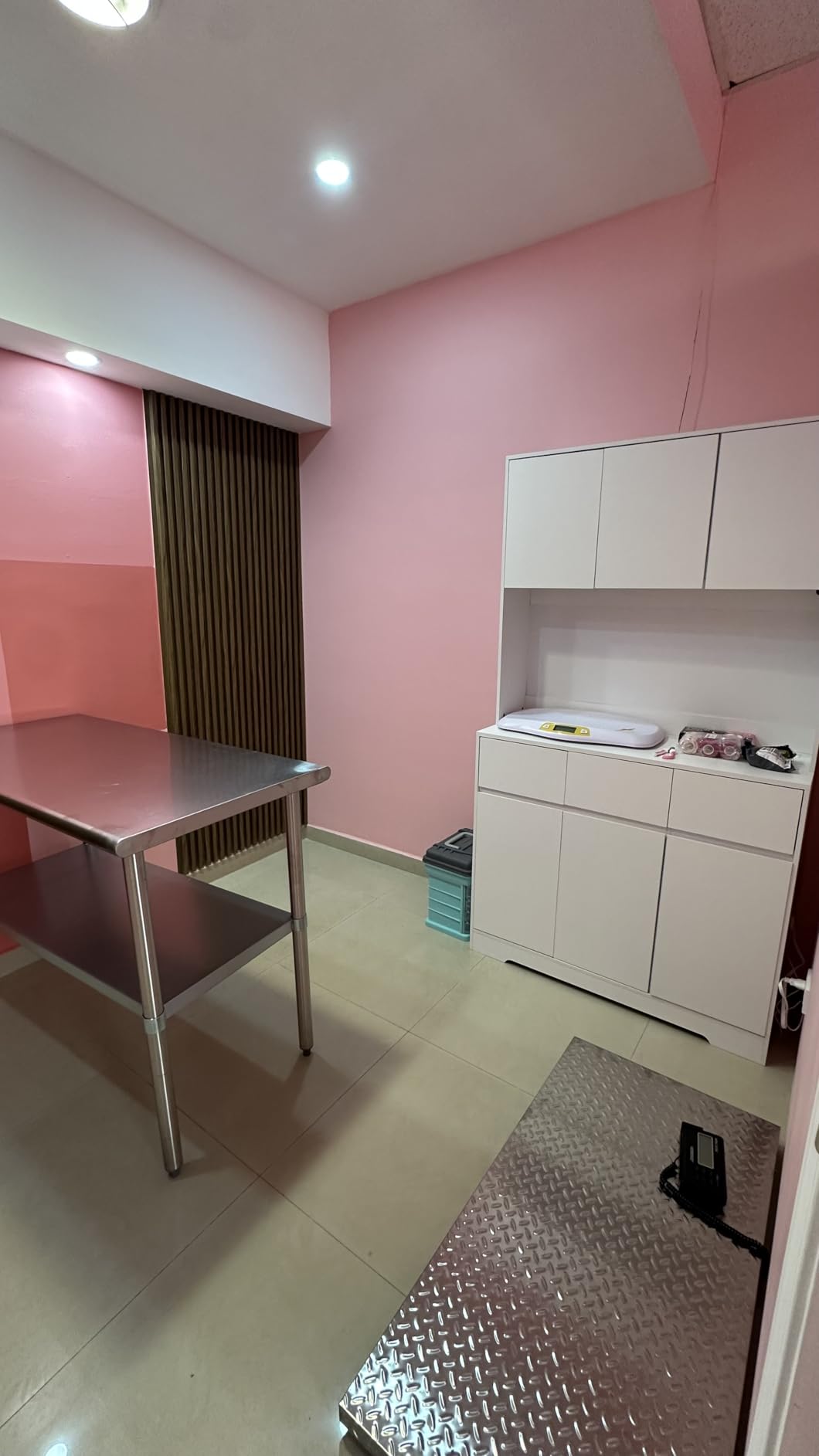 Precision Large Dog Scale - 1100lb x 0.2lb Large Breed Animal Livestock Weight Scale, Pet Scale Non-Slip Stainless Steel Platform for Dogs 40.7x20.9 Inch customer photo 1