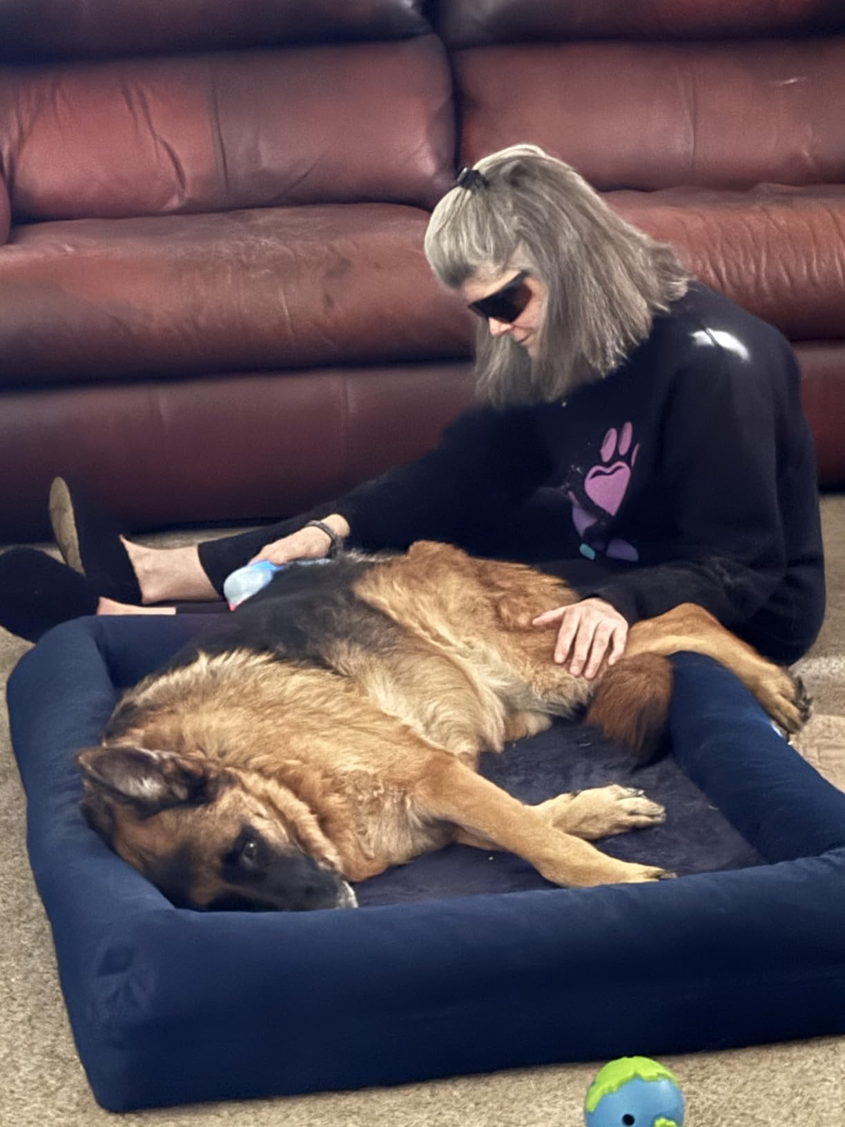 LLLT Cold Laser Therapy Device with Protective Cover, 5 * 808nm & 10 * 650nm Human/Vet Handheld Infrared Red Light Therapy, Pet Dogs Treatment Device for Muscle Pain Relief & Improve Healing customer photo 1