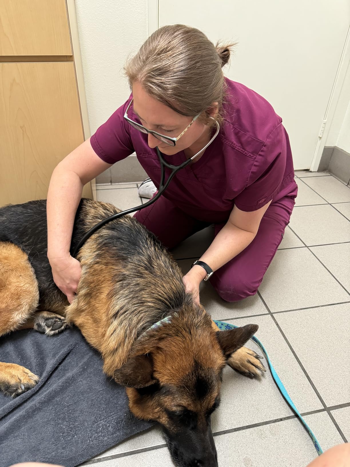 LLLT Cold Laser Therapy Device with Protective Cover, 5 * 808nm & 10 * 650nm Human/Vet Handheld Infrared Red Light Therapy, Pet Dogs Treatment Device for Muscle Pain Relief & Improve Healing customer photo 2