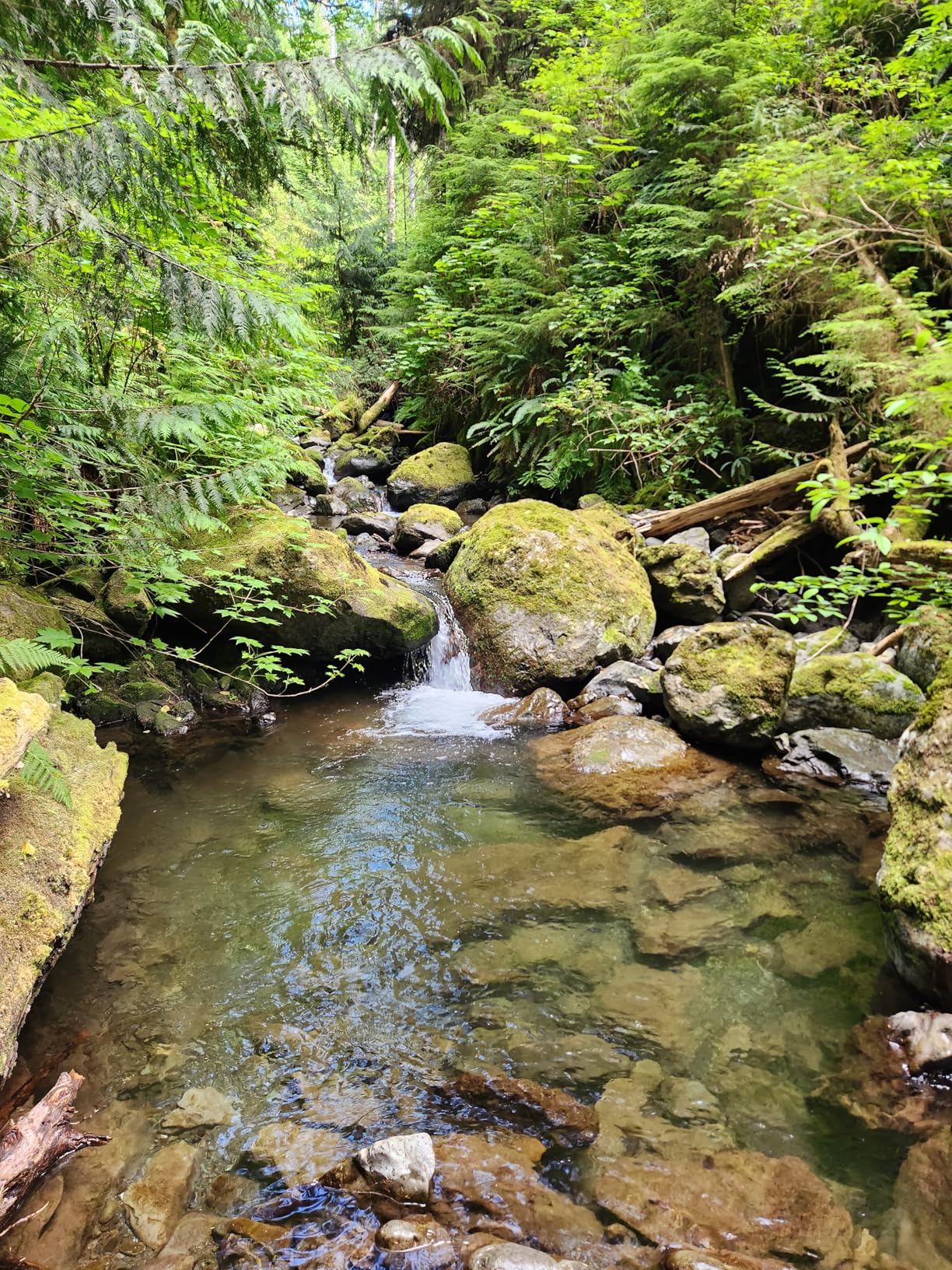 27pcs Complete Gold Panning Kit with 50