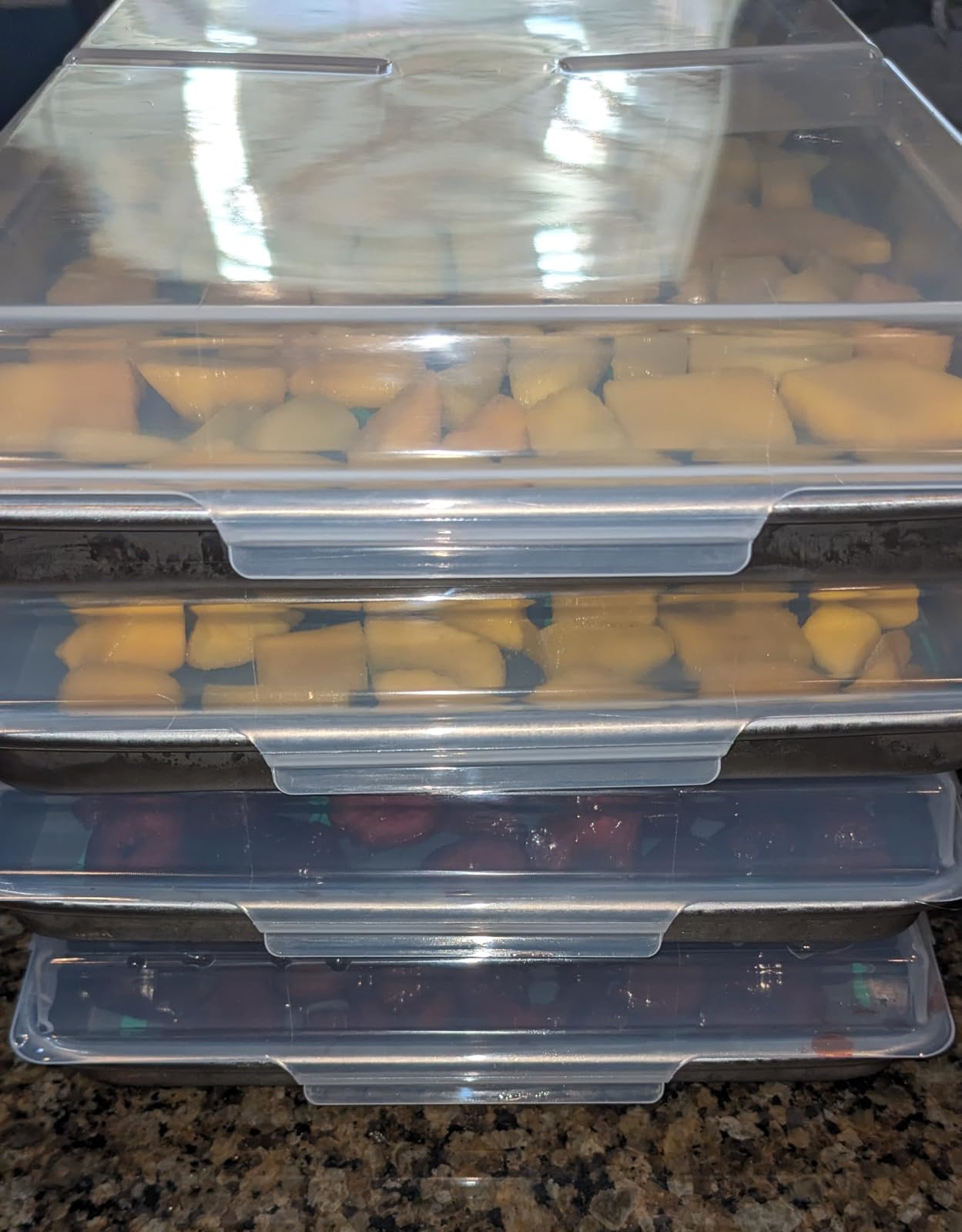 Tray Lids for Harvest Right Freeze Dryer Medium Trays. 5 pcs freeze dryer tray lids medium for Harvest right freeze dryer accessories customer photo 1