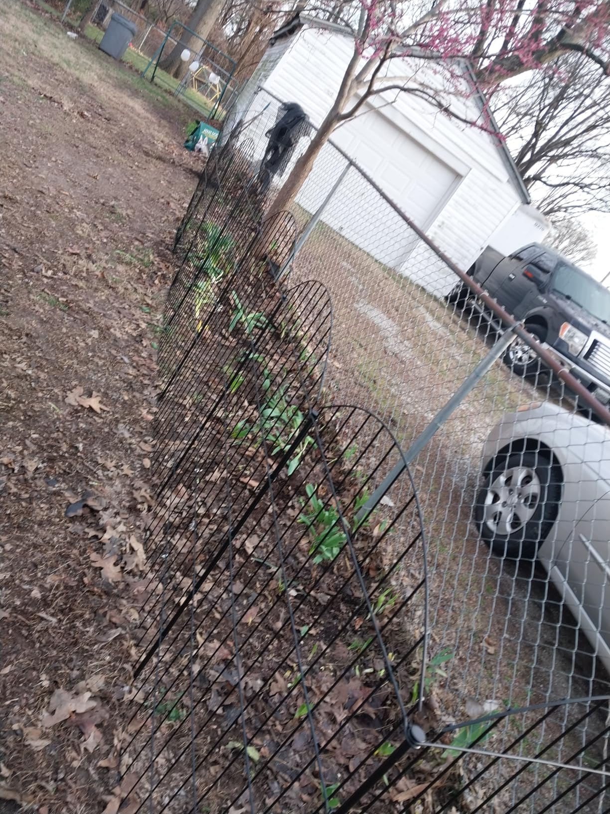 Metal Garden Fence with Gate 48in (H) x 12.7ft (L), 1 Gate+ 4 Panels Dog Fence Border Fences Animal Barrier, No Dig Garden Fencing for Yard Flower Bed Lawn Patio Outdoor, ECG4805G, Black customer photo 1