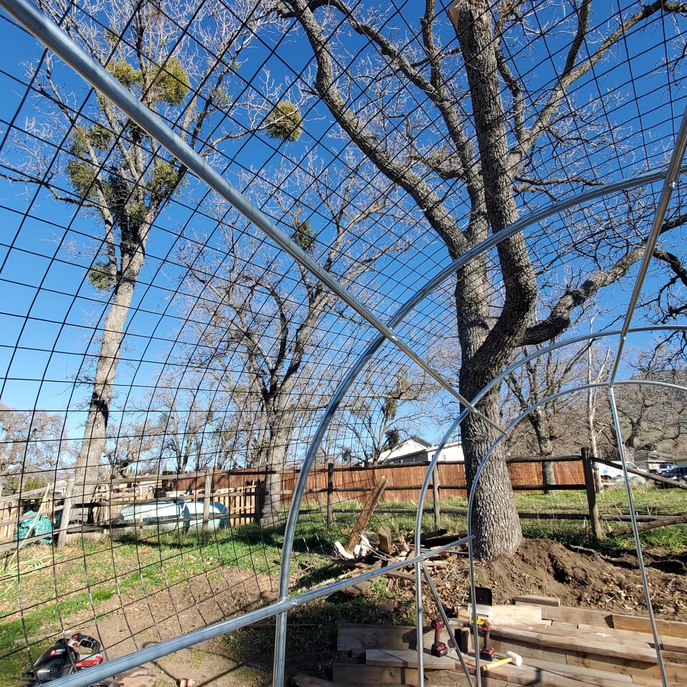 KING BIRD Premium 20x10x6.6FT Greenhouse for Outdoors, Large Walk-in Upgraded Galvanized Metal Frame, Mesh Door Screen Window Improved Zipper Tunnel Hoop for Garden Plant Winter, 2 Stiffeners, White customer photo 1