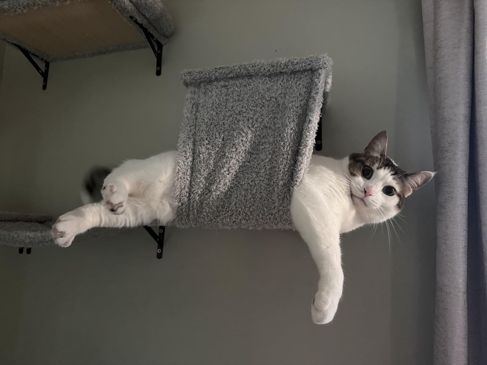 5-in-1 Cat Wall Shelves for Indoor Cats, Wall Mounted Cat Furniture with Bed, Cave, Scratching Post & Perch, Multi-Level Cat Climbing Wall, Space Saving Floating Cat Shelves (Natural Wood Darkgrey) customer photo 2