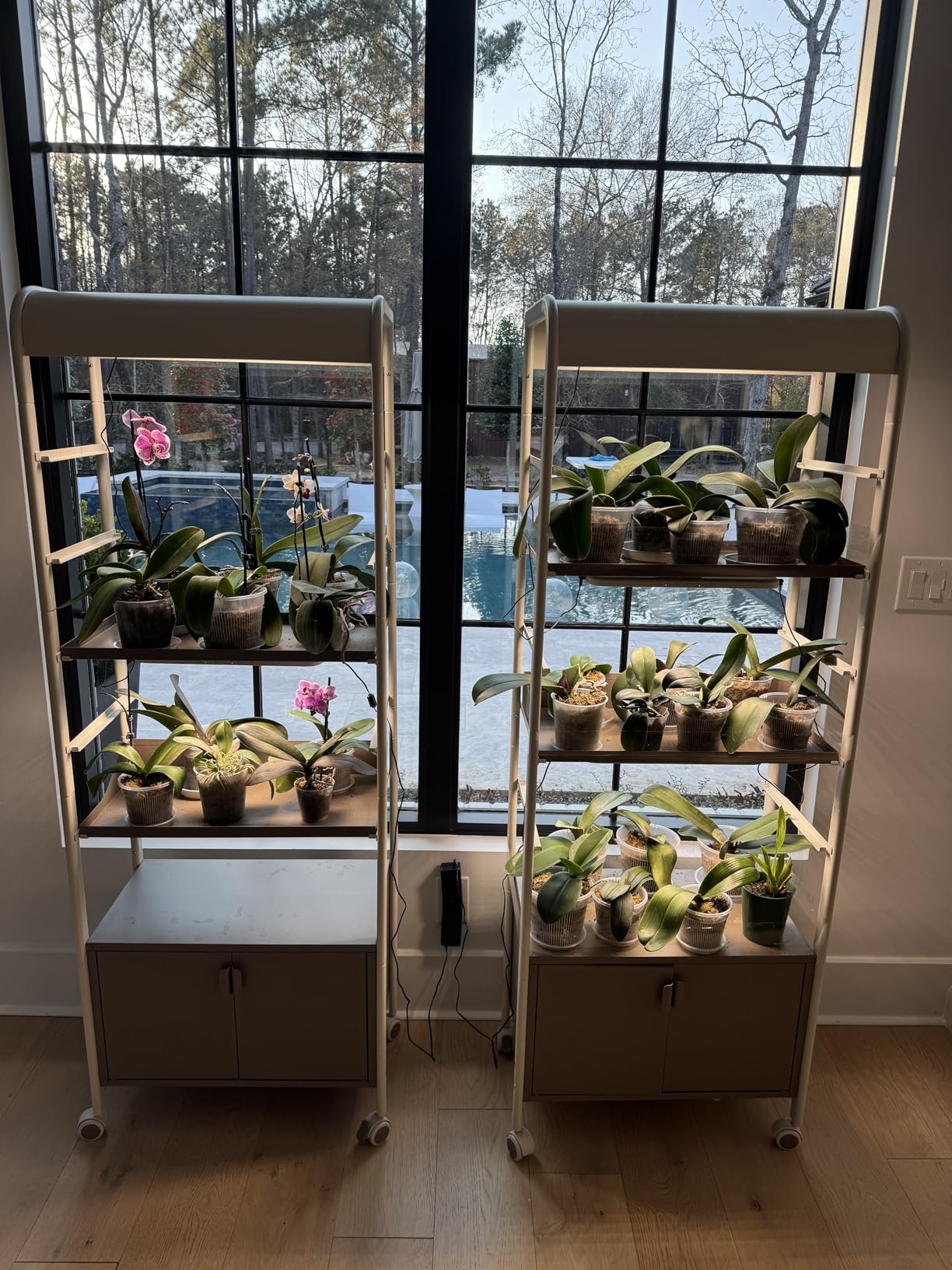 Vego garden 4 Tier Rolling Metal Corner Plant Stand Indoor with Grow Light, Display Shelf with Storage & Full Spectrum LED Grow Light, Plant Rack for Seed Starting, Leafy, Herbs, Fruits & Microgreens customer photo 1