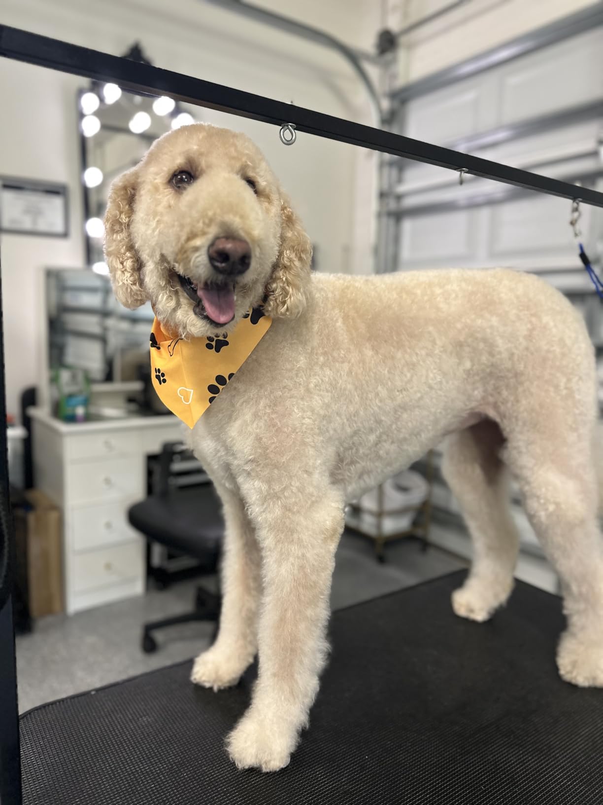 VEVOR Hydraulic Pet Grooming Table, 400LBS Static Load Capacity, 42.5 x 24 Inch Dog Grooming Station with Anti-Slip Tabletop and Dual Height Adjustable Arms with Clamps, for Medium and Small Dogs customer photo 1