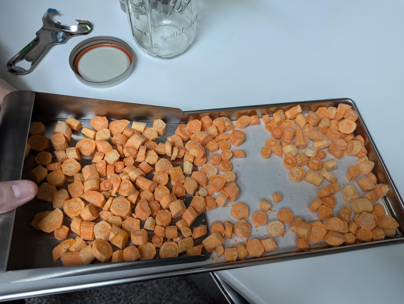 Metal Food Scoop for Harvest Right Freeze Dryer Medium and Small Trays, Perfect width=