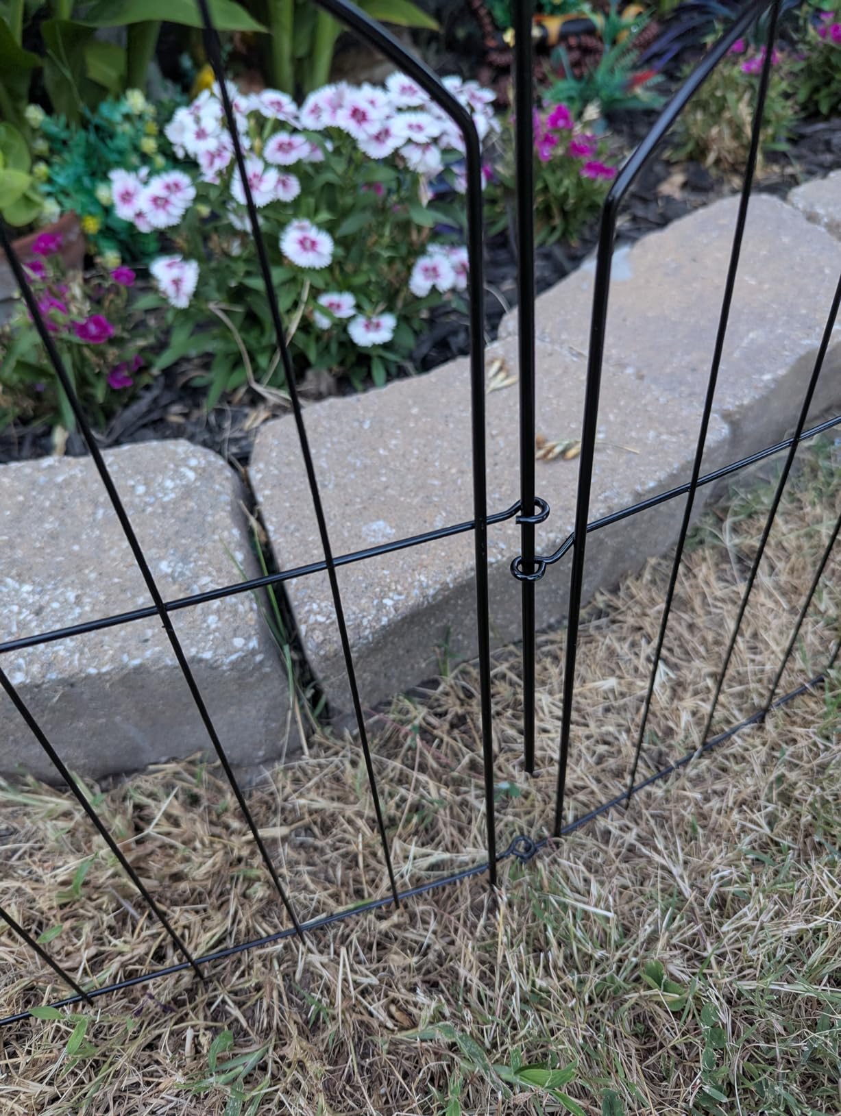 Decorative Garden Fence 17in (H) x10ft (L), Arched Rustproof Metal No Dig Fence for Dogs & Rabbit, Ornamental Animal Barrier for Flower Beds, Border Panels Fencing for Yard & Patio Outdoor Decor customer photo 1