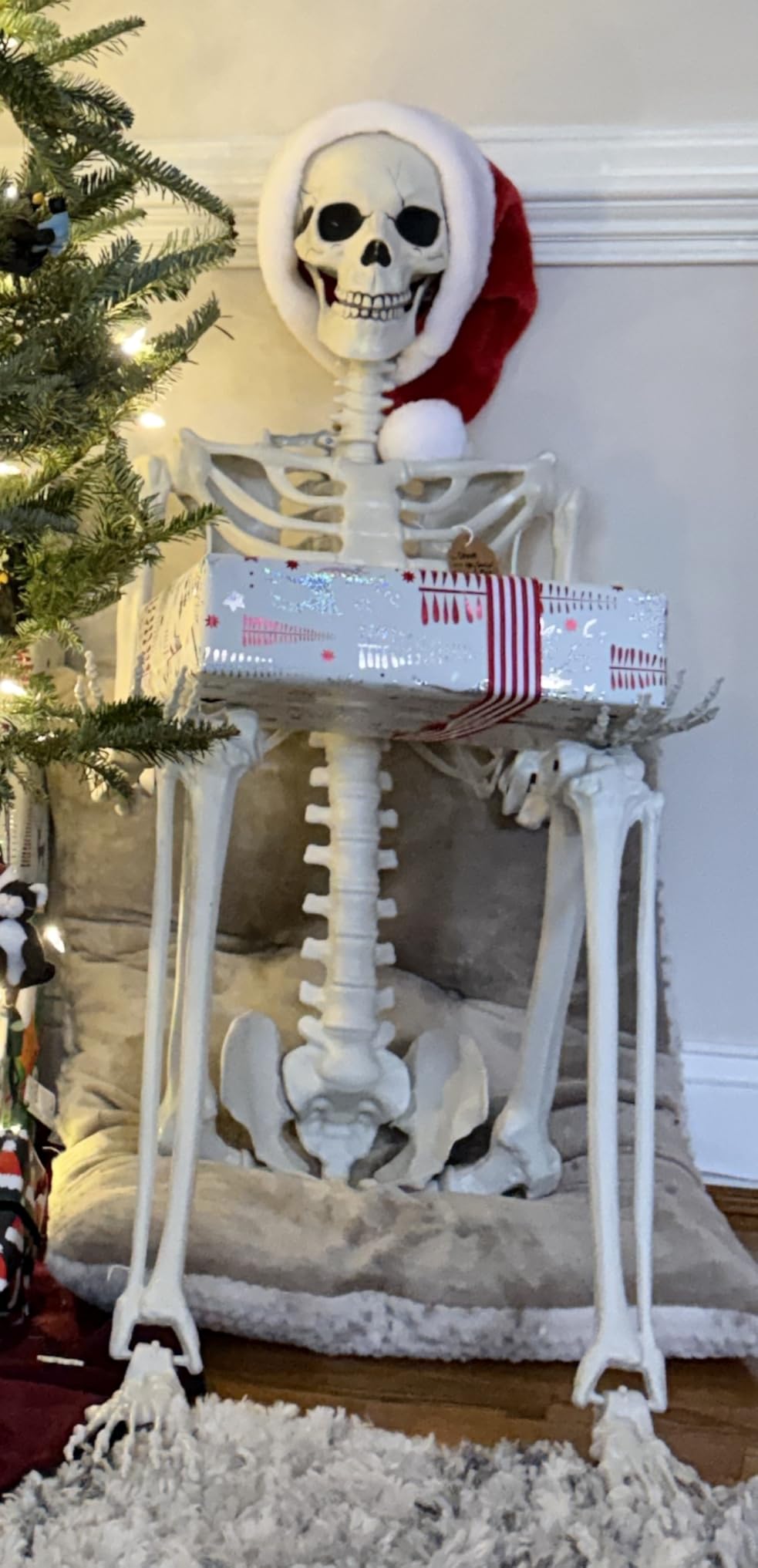7.9ft Halloween Giant Skeleton, Tall Outdoor Skeleton with Full Body Posable Joints, Scary Plastic Large Skeleton for Halloween Haunted House Spooky Scene Decorations customer photo 1
