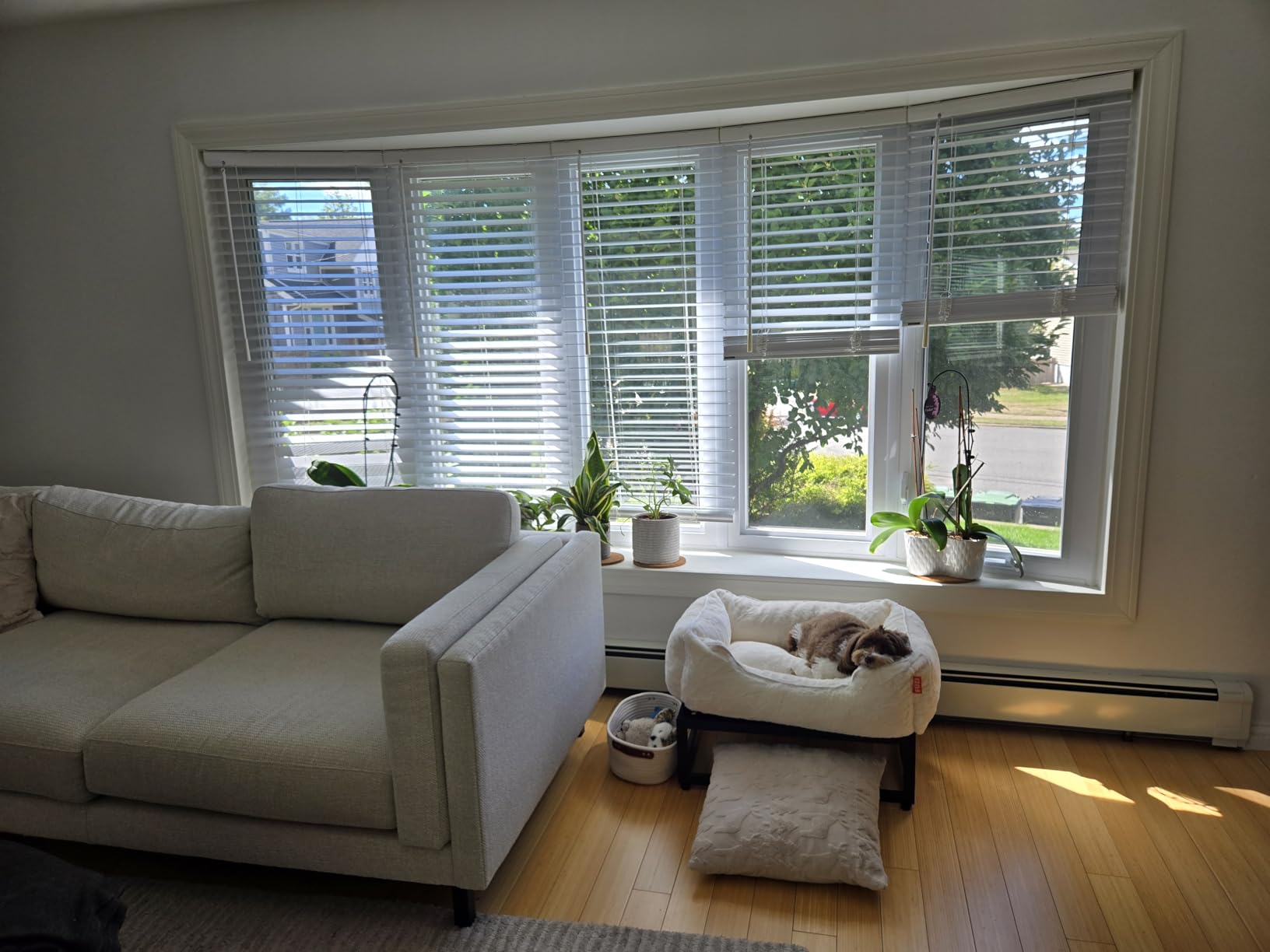 FÜZI Elevated Performance Fabric Dog Bed, Extra Large Luxury Pet Bed, Elevated Large Sized Dog, Removable and Washable Cover, Pet Cot Extra Large 45x30x18, Pale Grey On Black Metal Base customer photo 2