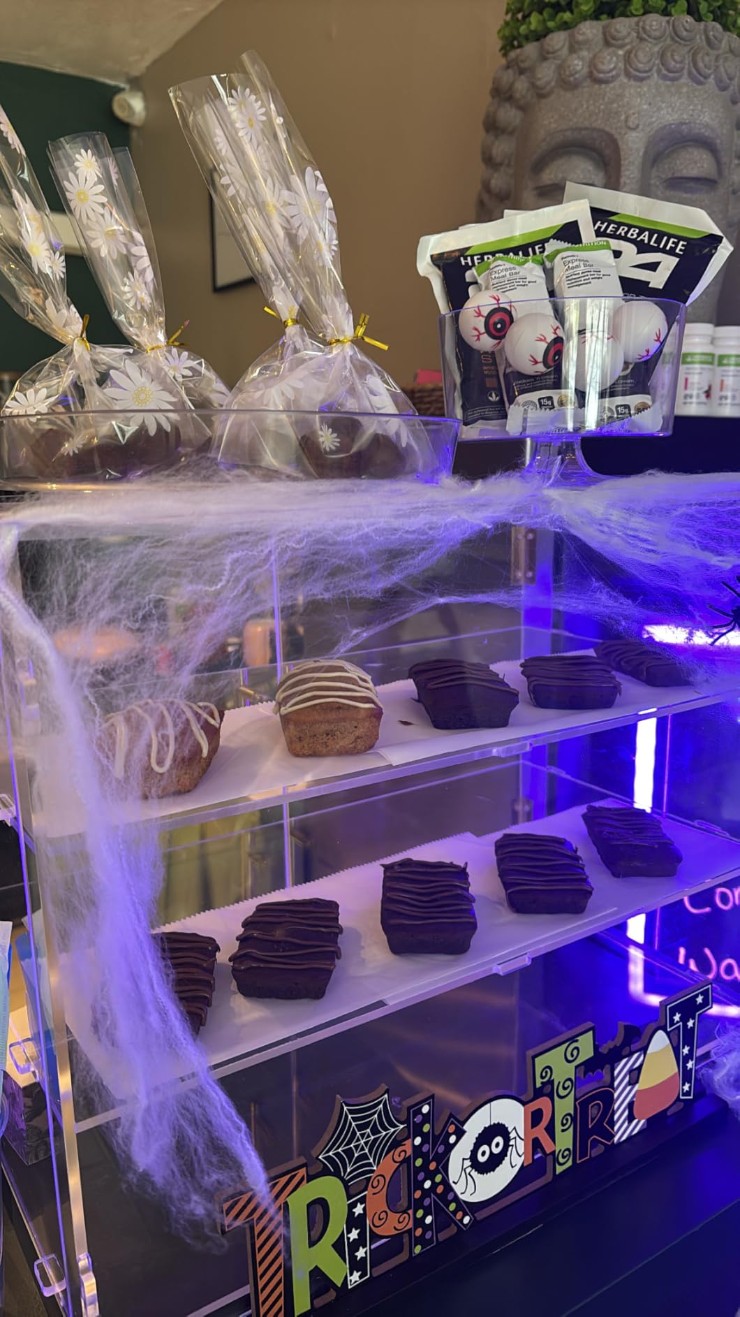 3 Tiers Clear Acrylic Counter Top Bakery Display Case 5mm high Impact PETG Panels Bread Case 19.5