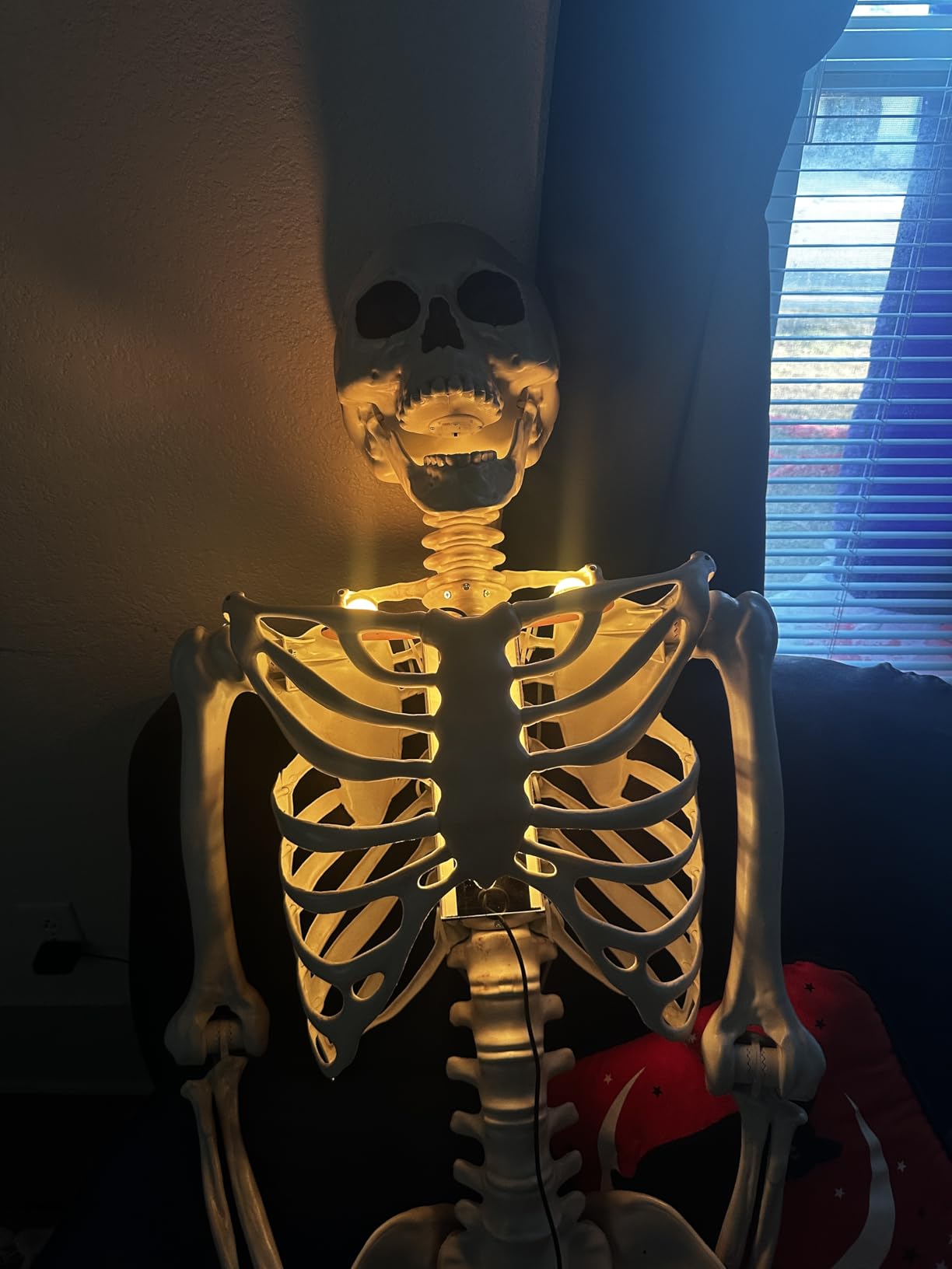 Hiboom 12 Ft Skeleton Lighting Kit (Not Included Skeleton), 3 Modes and 7 Colors, USB Powered, Waterproof, Giant Skeletons LED Light for Halloween Yard Large Skeletal Decor customer photo 1