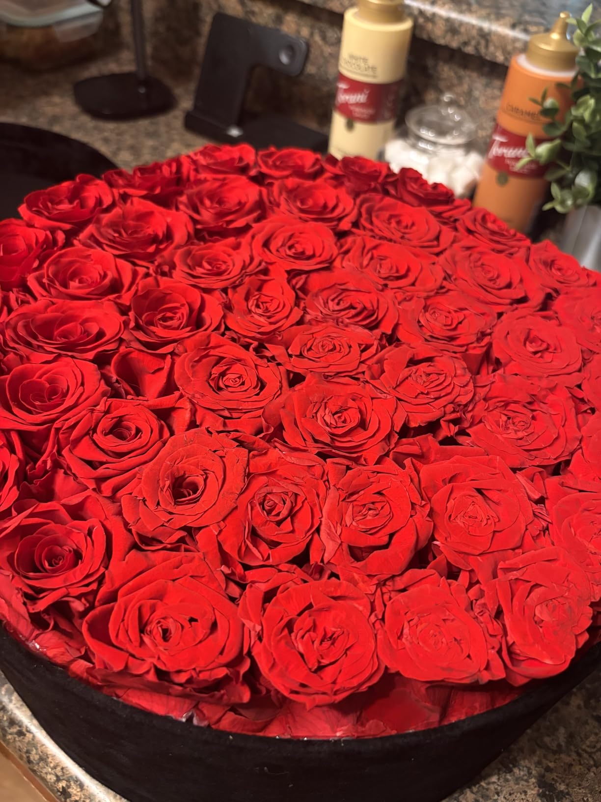 47 Flowers, Luxury Real Preserved Roses in a Suede Box, Forever Roses in a Box, Red Roses Bouquet, Anniversary, Proposal, Valentines Day Gifts, Wedding, Birthday, Gifts for Women, Girlfriend, Wife, Her customer photo 2