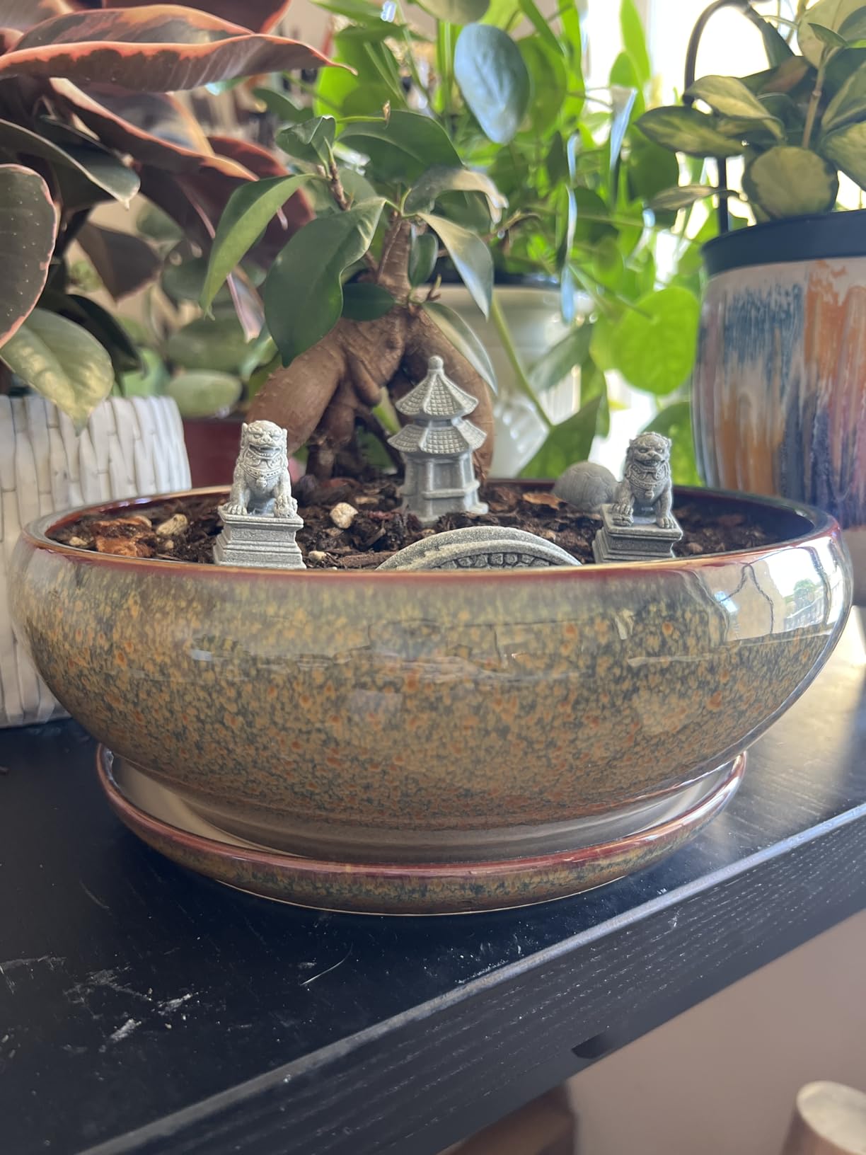 SQOWL Bonsai Tree Pots - 10 Inch Ceramic Succulent Pots, Round Shallow Planter with Drainage Hole and Tray, Bowl Planter for Indoor Outdoor Plants Flowers, Room Decor, Garden Gifts, Beige customer photo 2