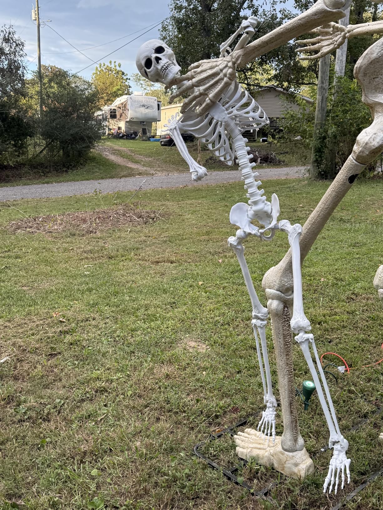Halloween Giant Skeleton, Large Realistic Full Body Skeleton with Movable Joints for Halloween Party Haunted House Indoor Outdoor Decoration (7.8ft-1P) customer photo 2
