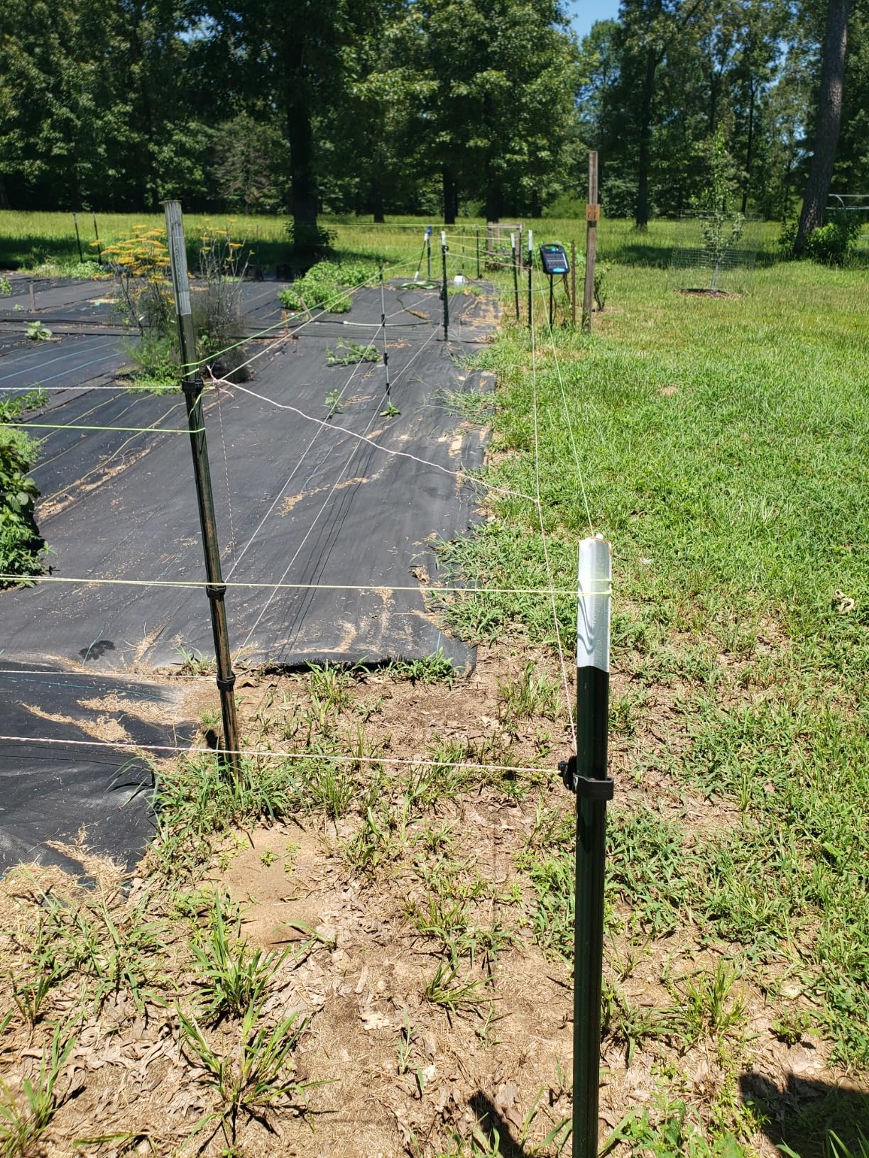 Solar Powered Electric Fence with Lithium Battery Energizer Containment & Protection of Livestock Horses Cattle Sheep Pets Easy Install Charger 0.2 Joules Output customer photo 1