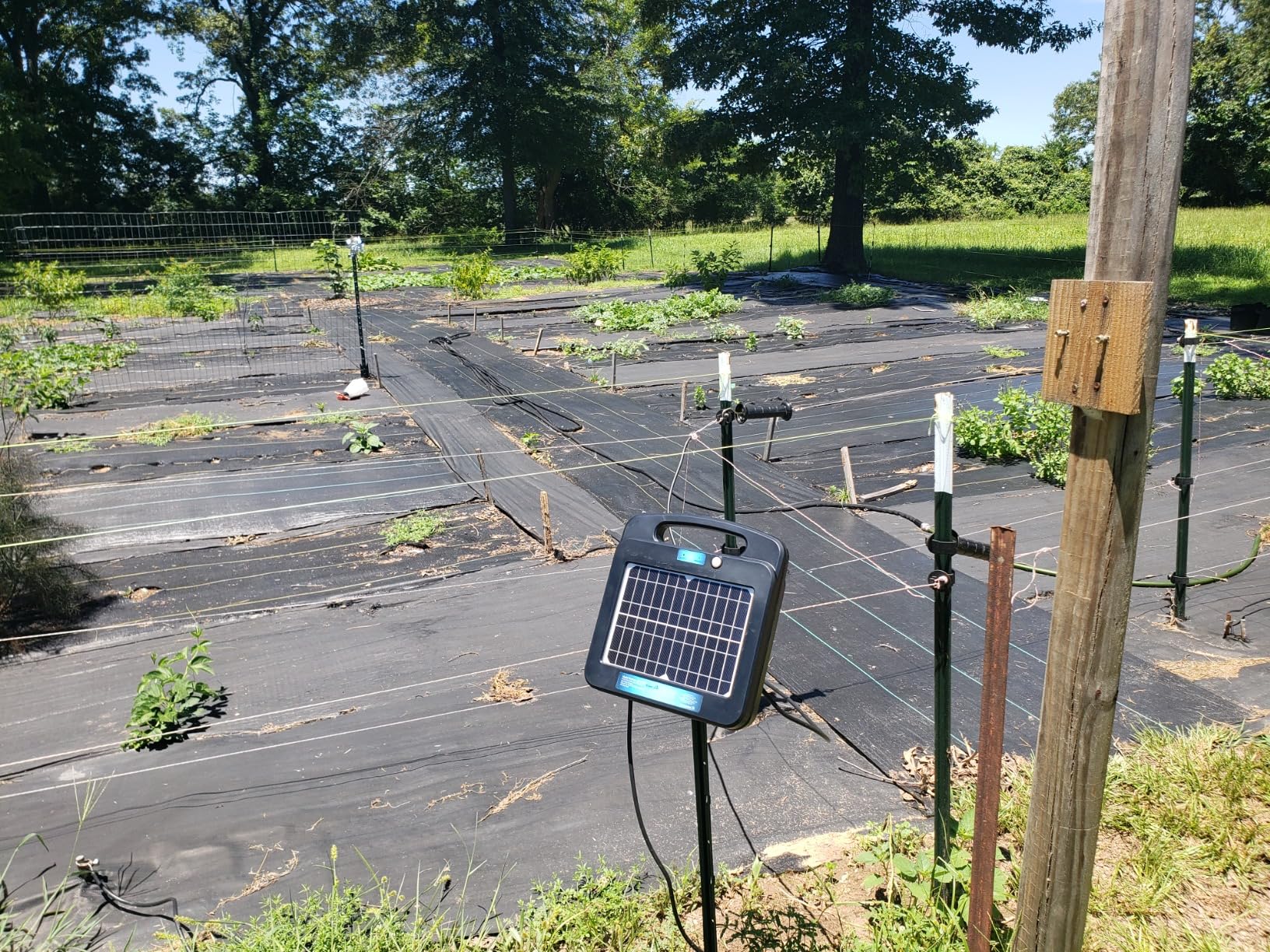 Solar Powered Electric Fence with Lithium Battery Energizer Containment & Protection of Livestock Horses Cattle Sheep Pets Easy Install Charger 0.2 Joules Output customer photo 2