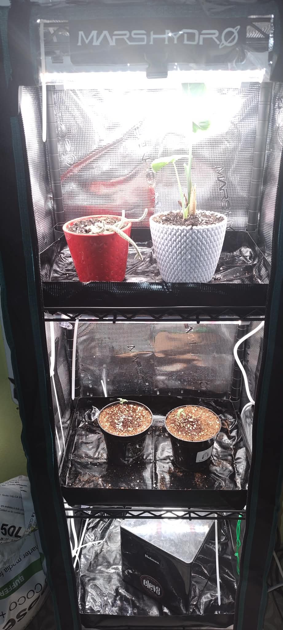 MARS HYDRO 2025 Plant Stand with Grow Lights,4-Tier Plant Shelf with 6 Full Spectrum LED Lamps (150W, 3ft) & Grow Tent | for Vegetables, Seedlings, Plant Growth | 5000K, 37×14×59'' customer photo 2